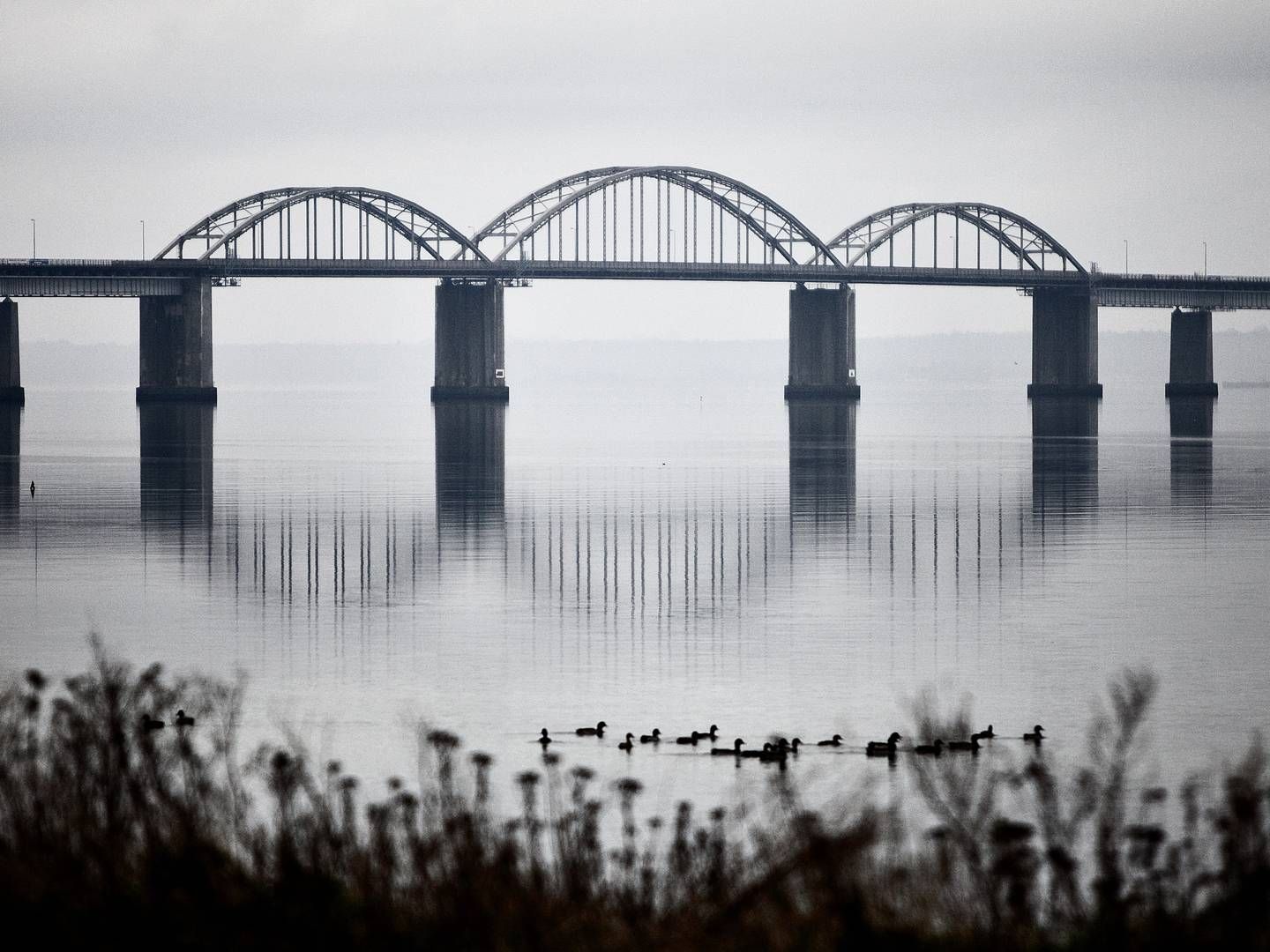 Nyhedsredaktør på Lolland-Falster Folketidende afviser, at det kun er en promille af det regionale mediehus' journalistik, der bidrager til den demokratiske samtale. | Foto: Joachim Adrian/Ritzau Scanpix