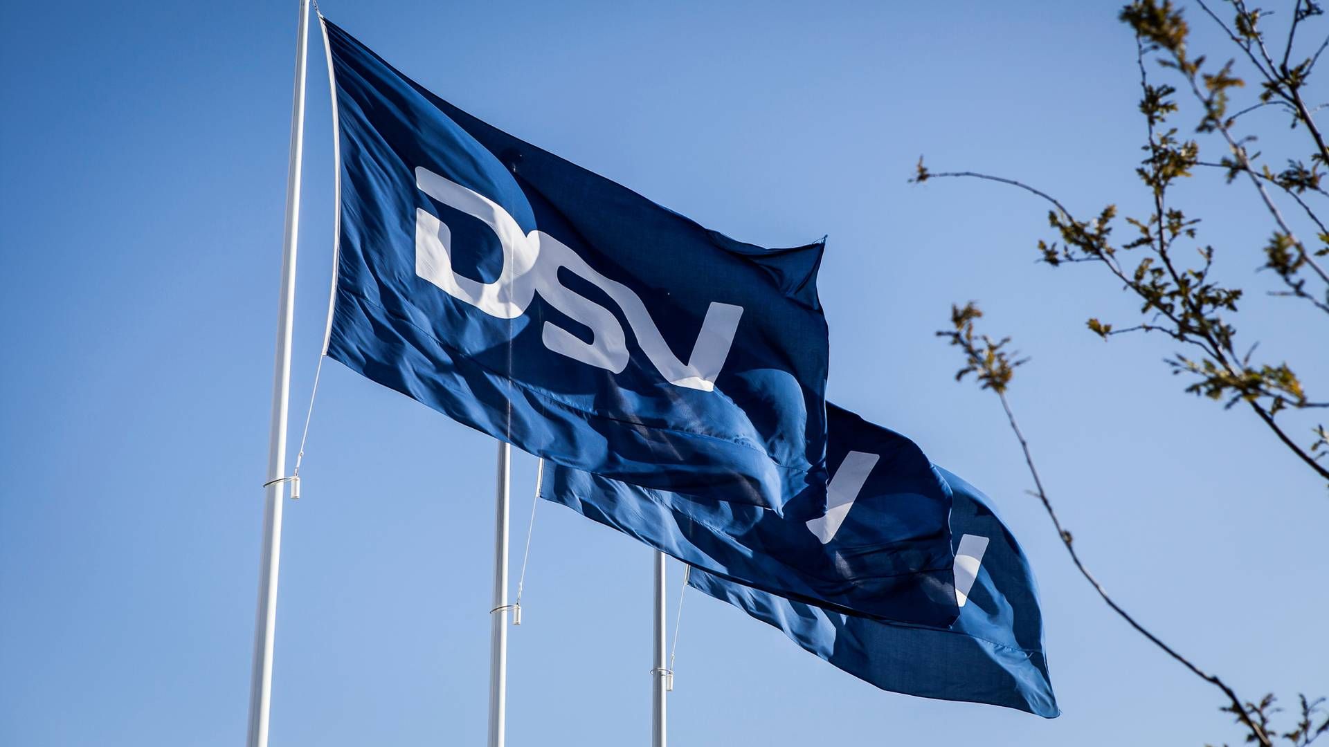 Foto: DSV PR