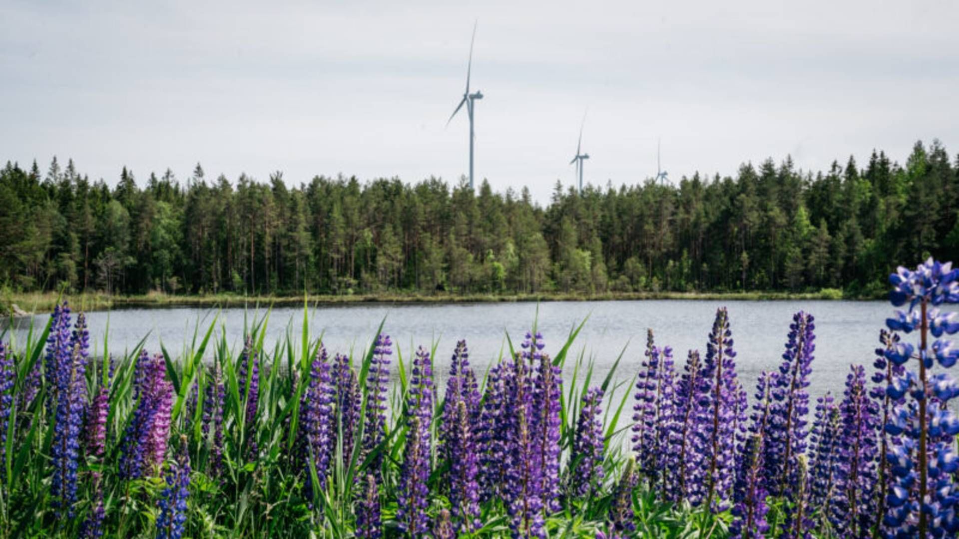 Foto: Cloudberry Clean Energy