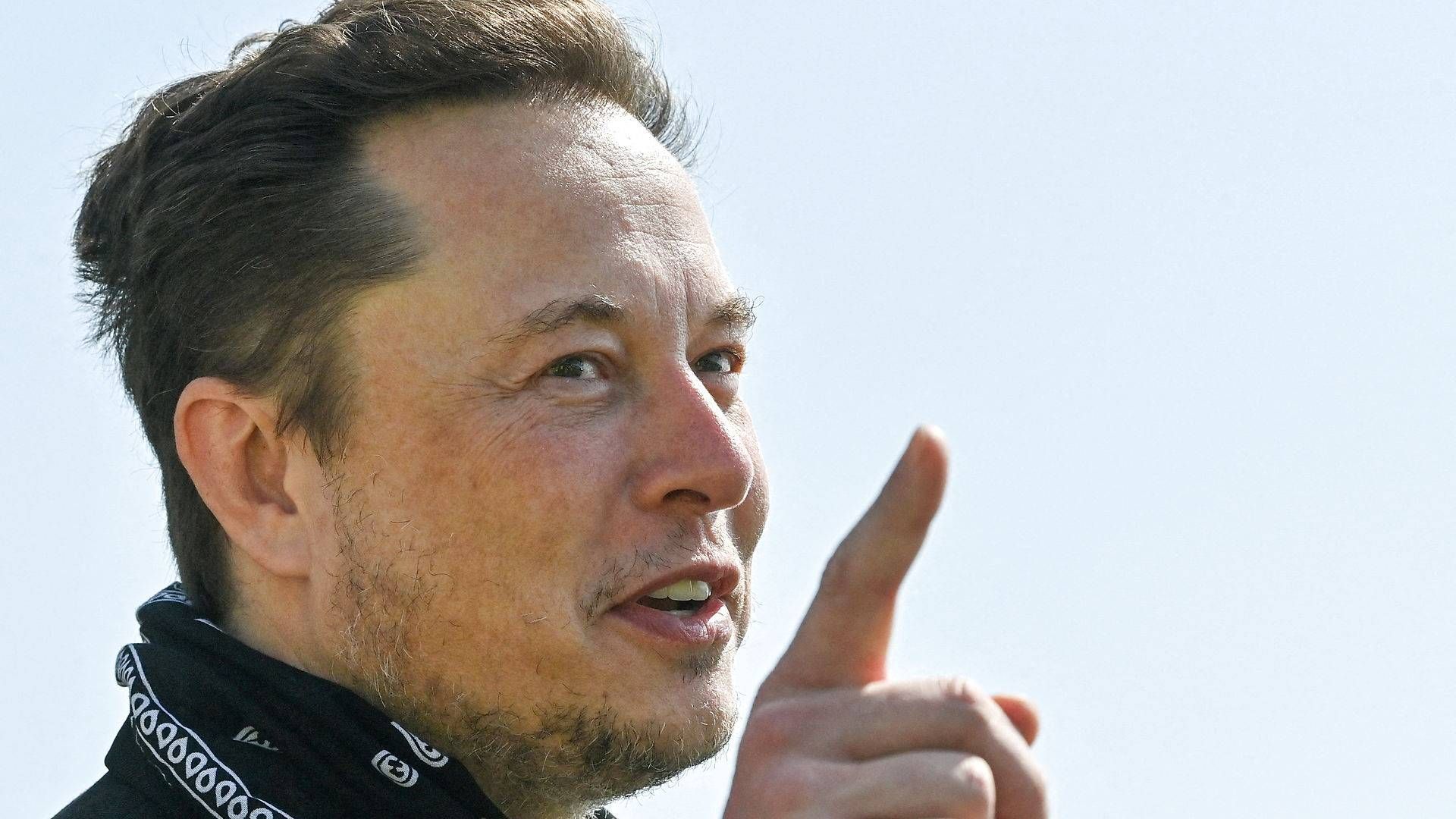 Elon Musk donerede beløbet til en ukendt modtager. | Foto: Pool/Reuters/Ritzau Scanpix