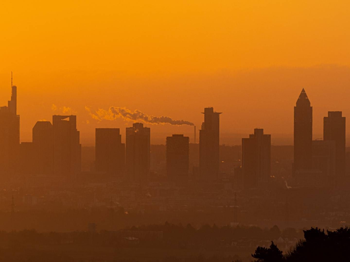 Skyline von Frankfurt im Morgenlicht. | Foto: picture alliance / greatif | Florian Gaul