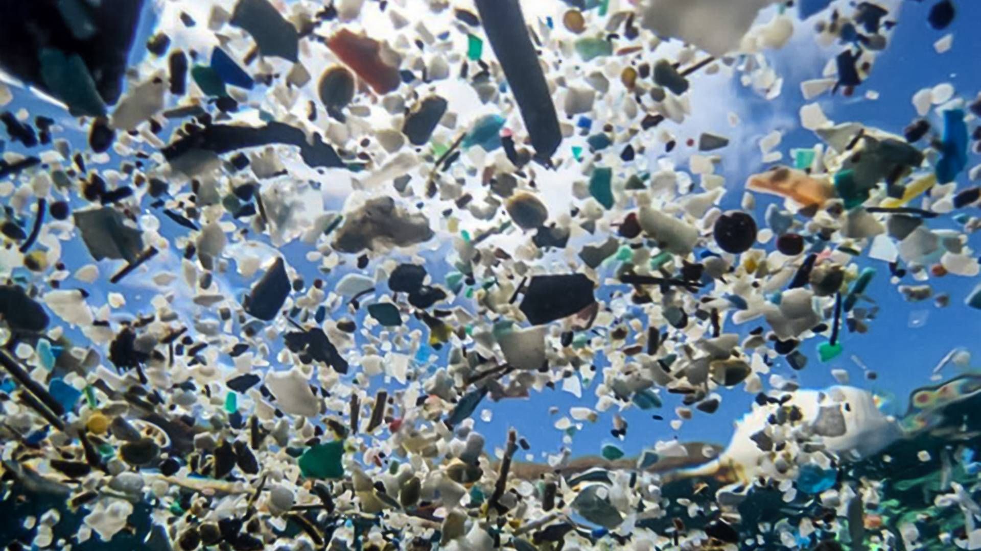 Ifølge Plastic Change findes der områder med høje koncentrationer af nedbrudt plastik i havene, de såkaldte gyres eller ”plastiksupper”. | Foto: Plastic Change/PR