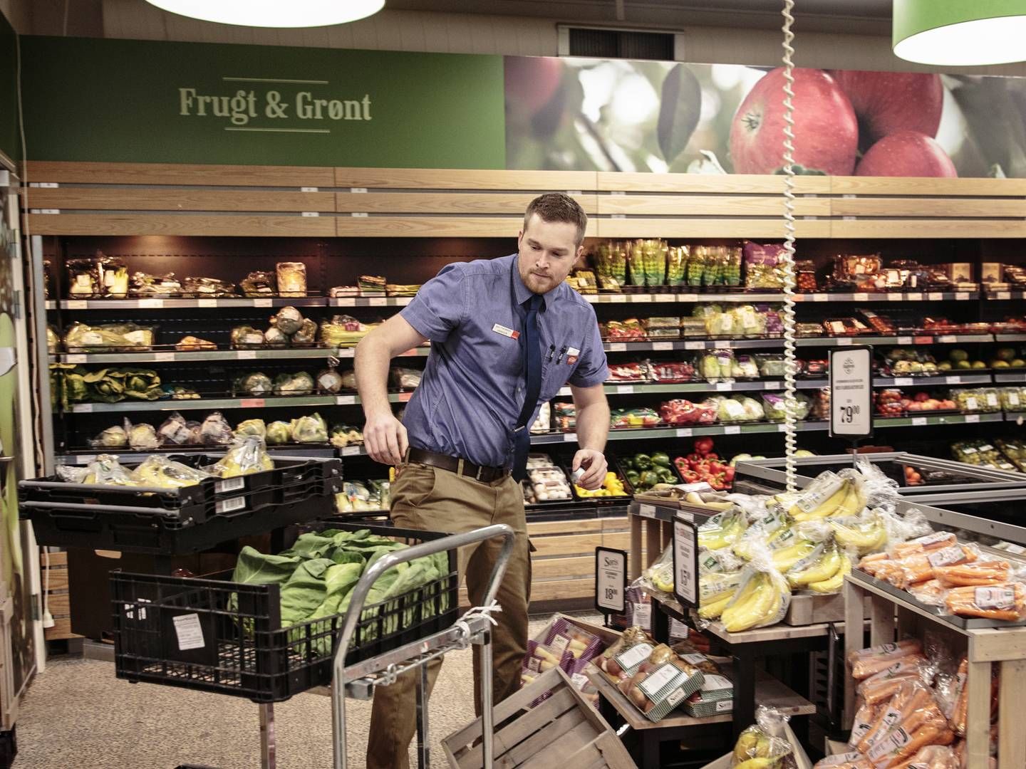Supermarkederne opbygger stadig større indkøbsmagt. | Foto: Miriam Dalsgaard/Ritzau Scanpix.