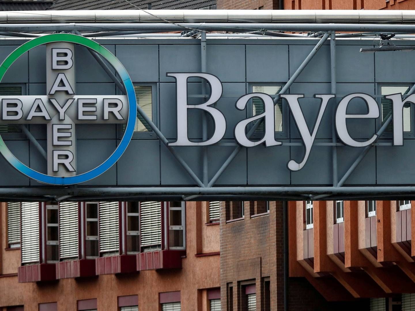 Bayer nyder godt af gunstige landbrugsmarkeder i starten af året, viser nyt kvartalsregnskab fra kemikoncernen. | Foto: Wolfgang Rattay/REUTERS / X00227