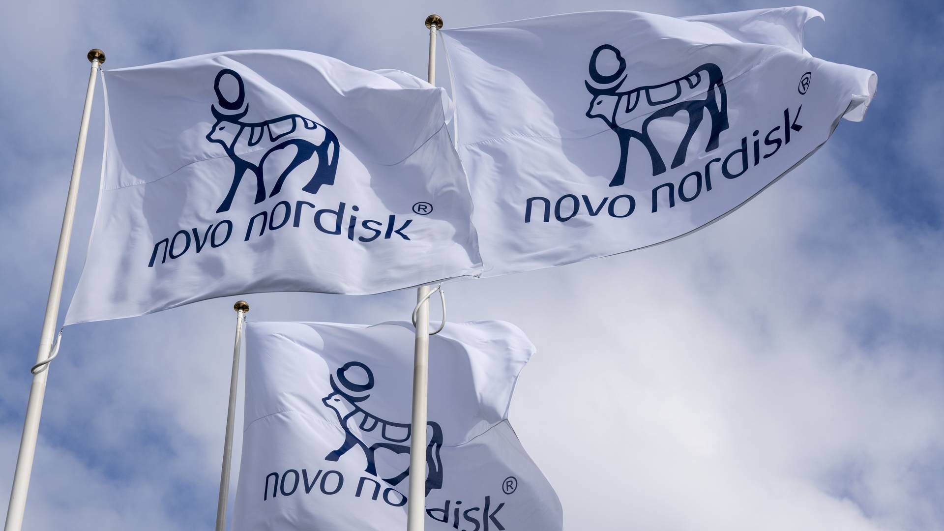 Foto: Novo Nordisk / PR