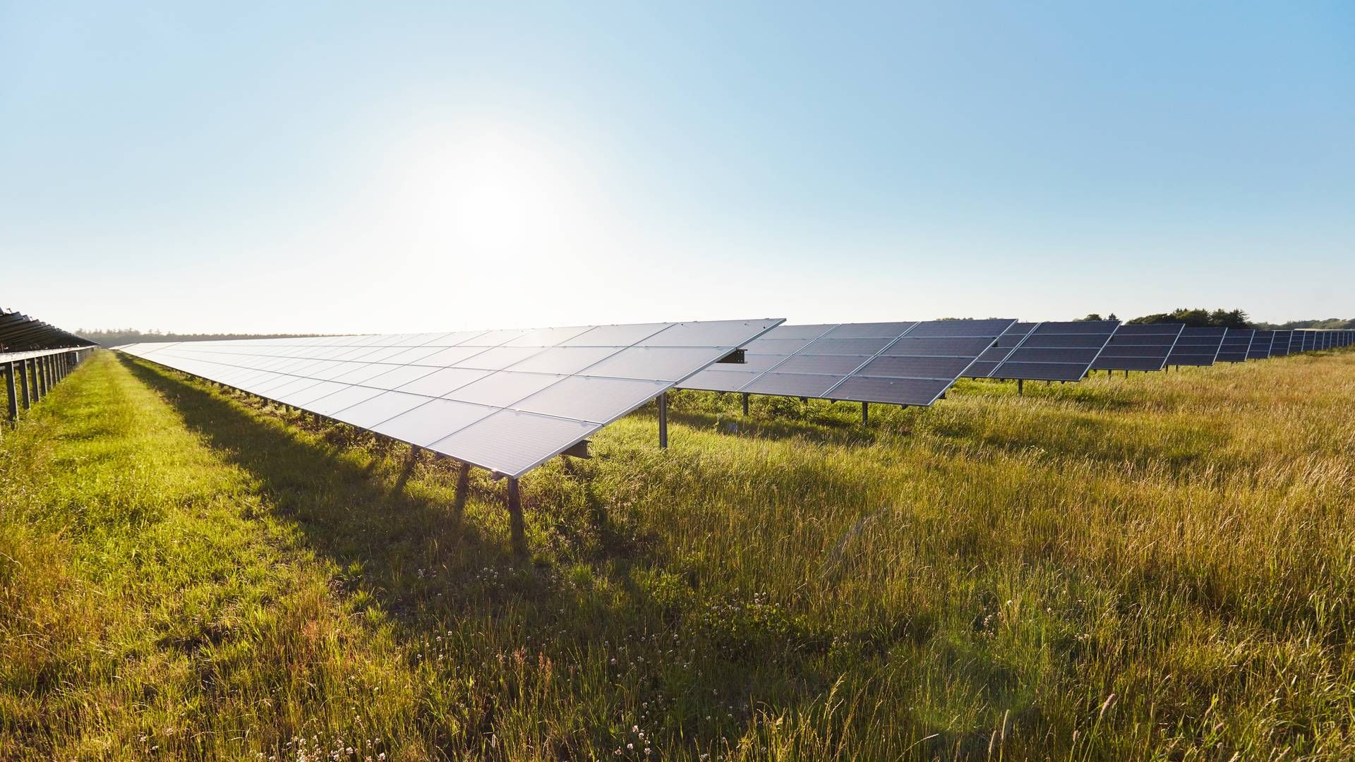 Solcelleanlæg kan være en vej til hurtig udbygning af vedvarende energi, da de er langt hurtigere at opføre end f.eks. havvindmølleparker. Det kræver dog, at godkendelsesprocesserne bliver hurtigere, og at elnettet udbygges. | Foto: Better Energy