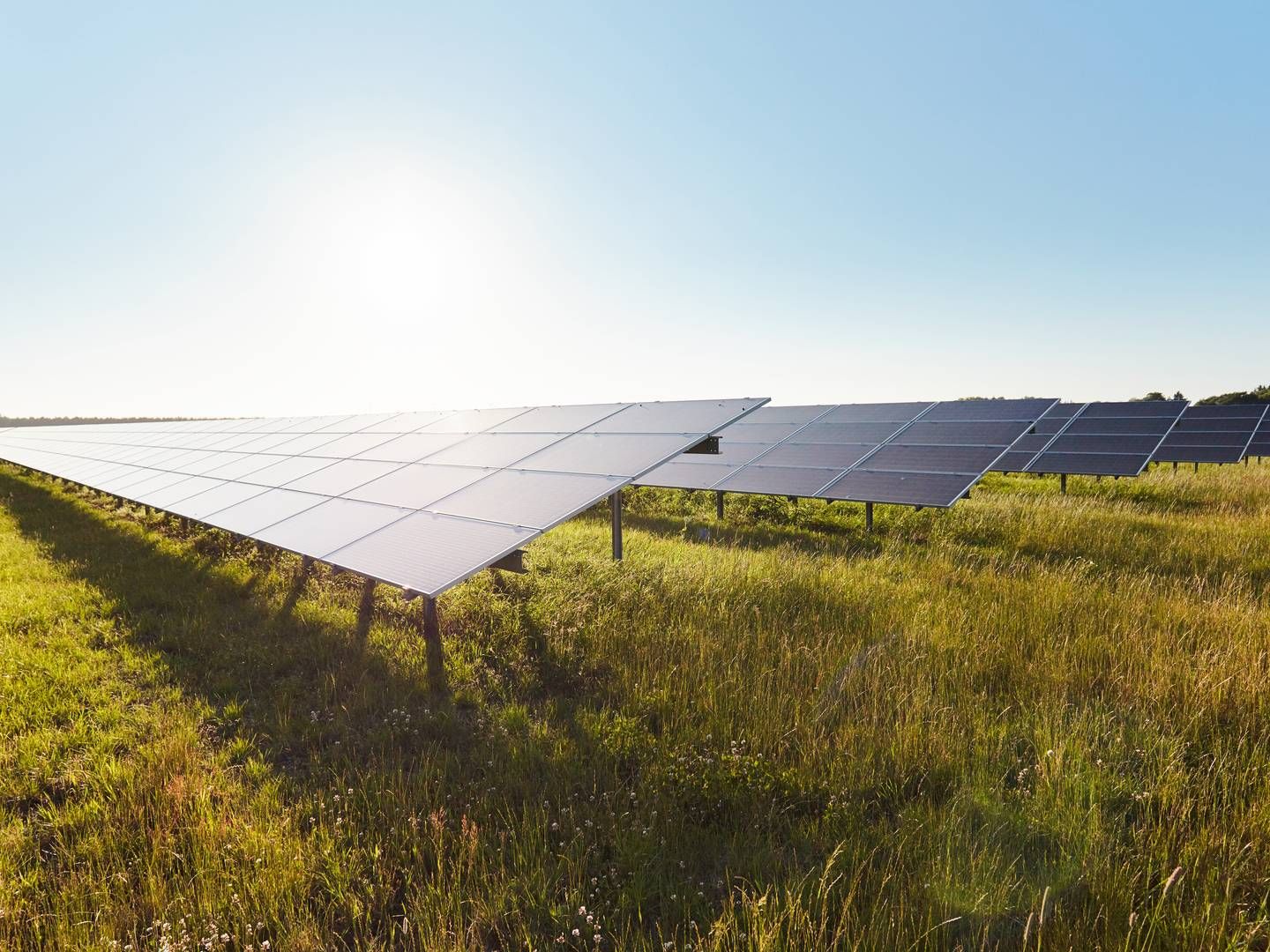 Solcelleanlæg kan være en vej til hurtig udbygning af vedvarende energi, da de er langt hurtigere at opføre end f.eks. havvindmølleparker. Det kræver dog, at godkendelsesprocesserne bliver hurtigere, og at elnettet udbygges. | Foto: Better Energy