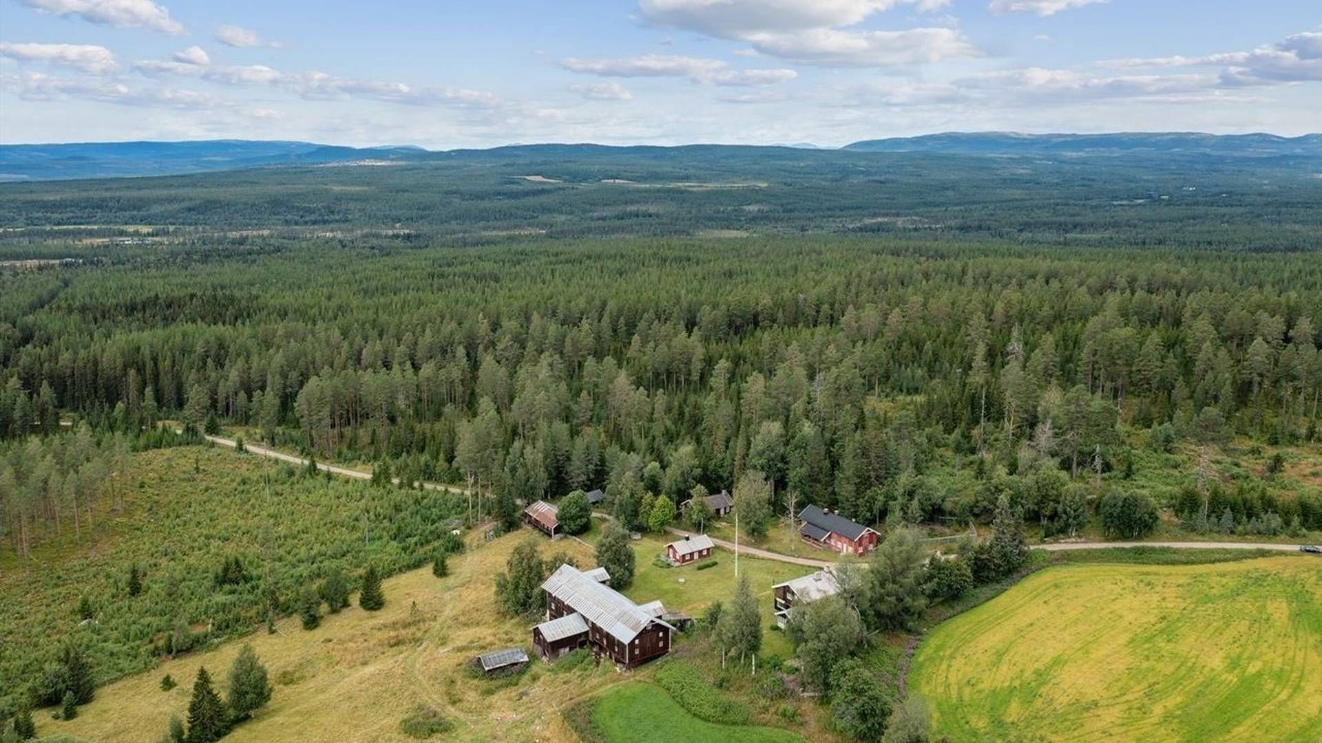 OMFANGSRIK: Nedre Tenaasen er på 39.000 dekar og består av skog og utmark. Eiendommen ligger både i Trysil og Åmot kommune. | Foto: Eiendomsmegler 1 Innlandet