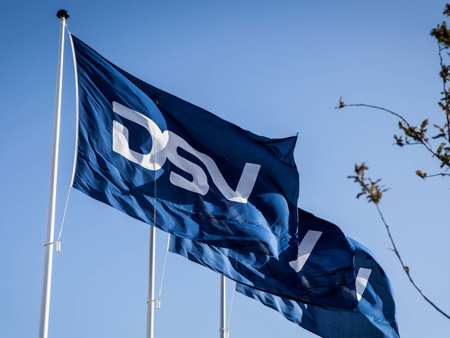 Photo: DSV PR