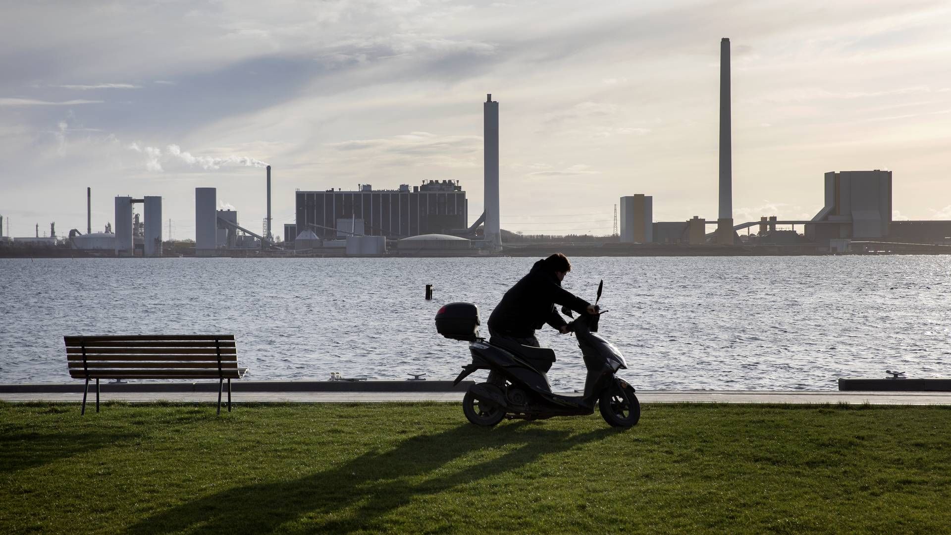 Foto: Jacob Ehrbahn/Politiken