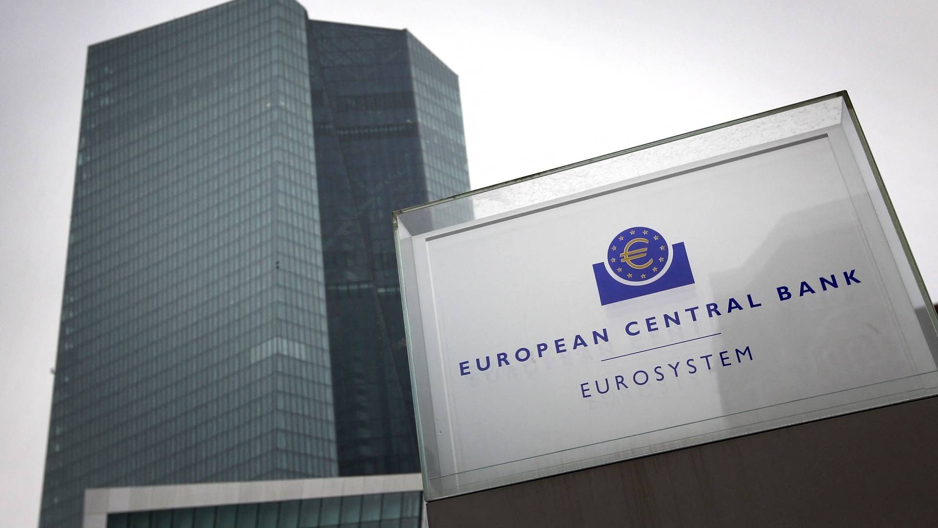 ECB bør vente med at bremse pengepolitiske stimuli, mener medlem af rentekomité i ECB. | Foto: DANIEL ROLAND/AFP / AFP