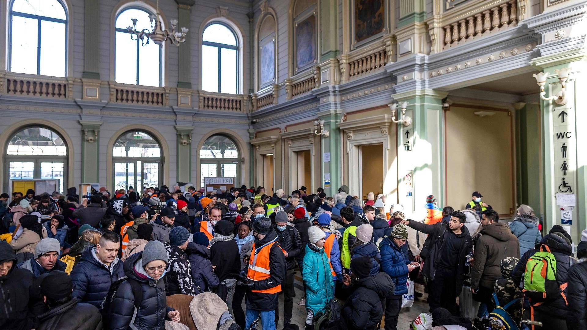 Ifølge en rundspørge ansætter danske virksomheder gerne ukrainske flygtninge. Foto: Wojtek Radwanski/AFP/Ritzau Scanpix