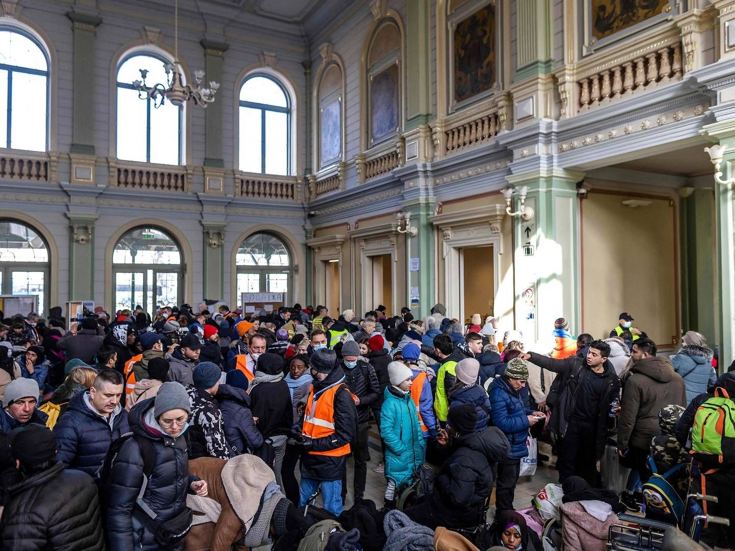 Ifølge en rundspørge ansætter danske virksomheder gerne ukrainske flygtninge. Foto: Wojtek Radwanski/AFP/Ritzau Scanpix