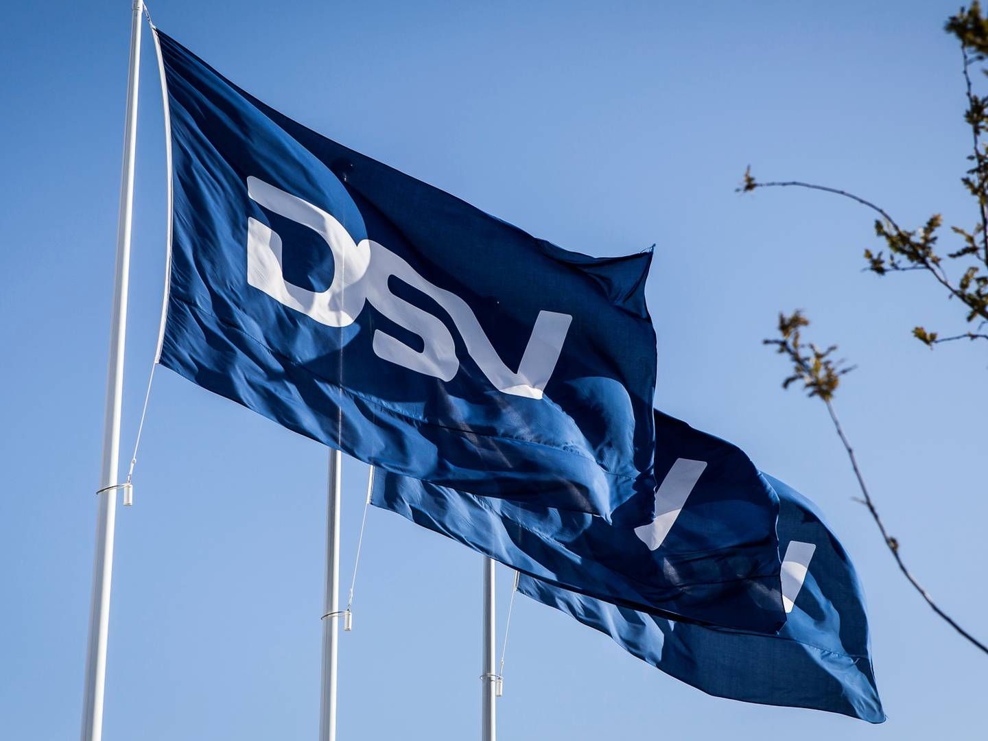 Foto: DSV PR