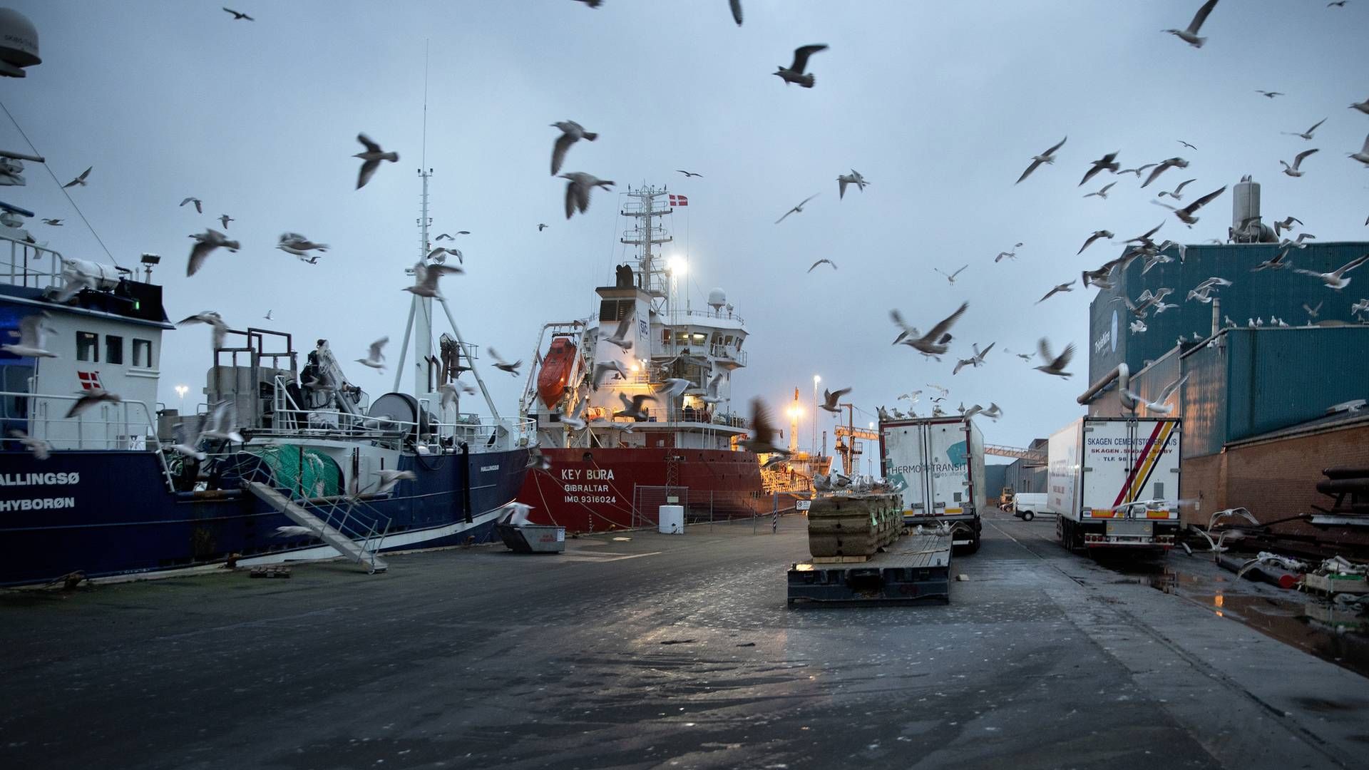 Foto: Finn Frandsen/Ritzau Scanpix.