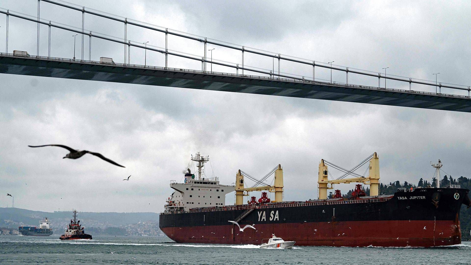 Det tyrkiske skib Yara Jupiter blev som det første handelsskib ramt af et missil ud for Odessa, der har Ukraines største havn. | Foto: Yasin Akgul/AFP/Ritzau Scanpix