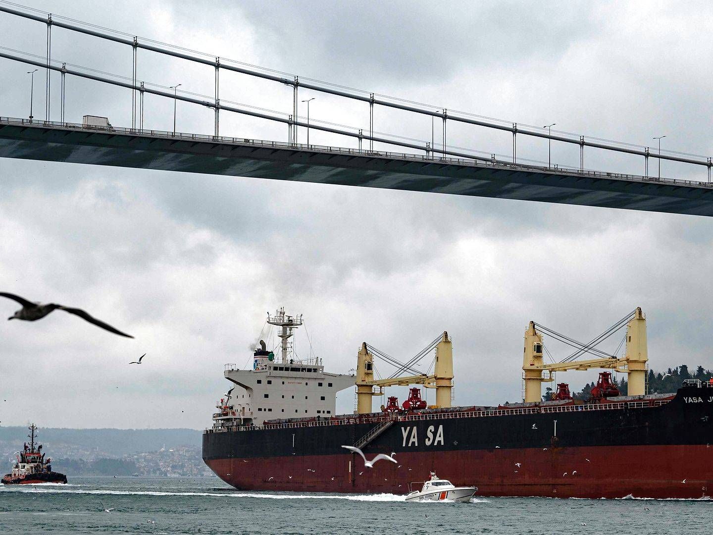 Det tyrkiske skib Yara Jupiter blev som det første handelsskib ramt af et missil ud for Odessa, der har Ukraines største havn. | Foto: Yasin Akgul/AFP/Ritzau Scanpix