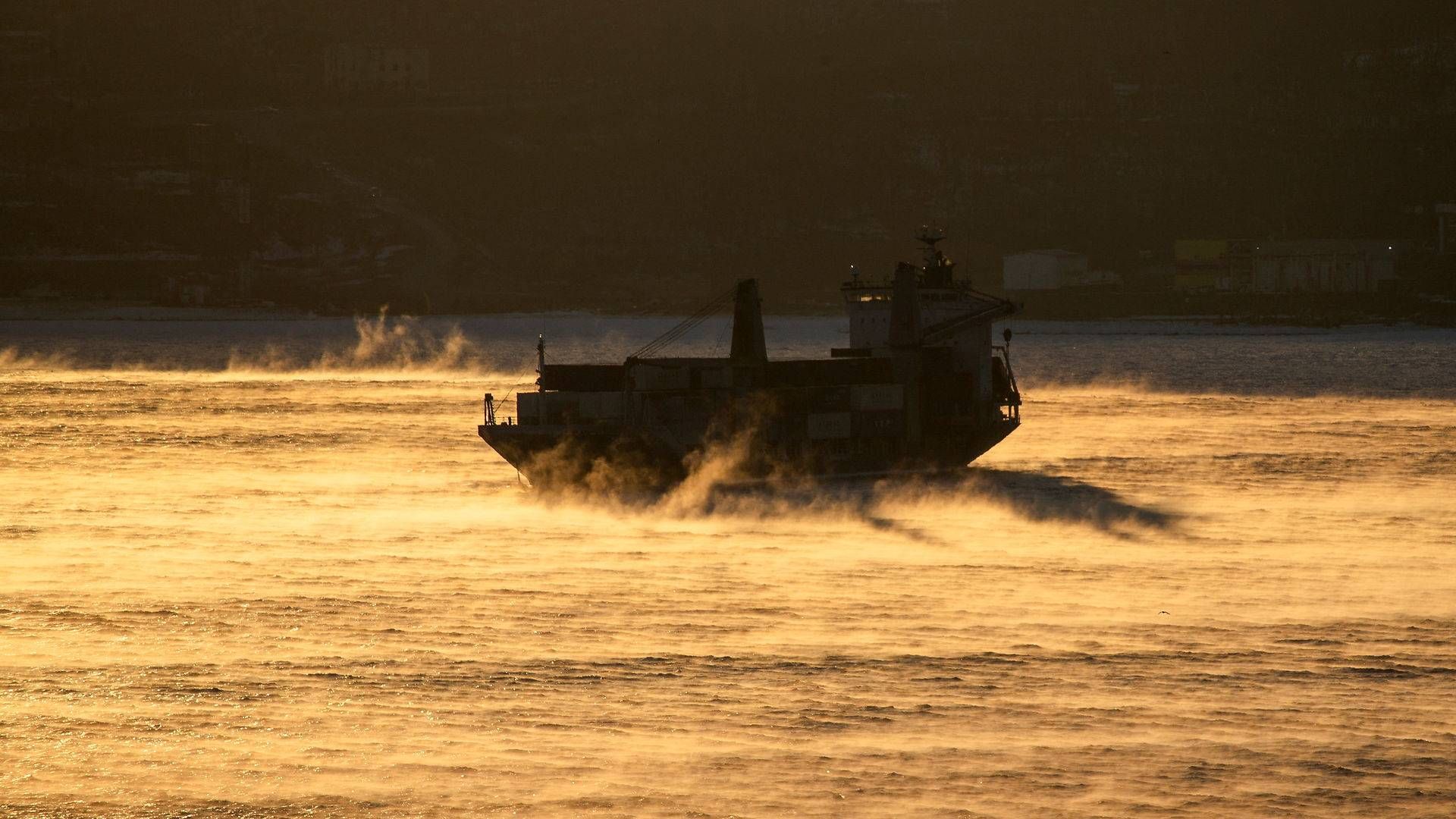 Et handelsskib i Vladivostok, der er et stort bunkerhub i det østlige Rusland. | Foto: Tatiana Meel/Reuters/Ritzau Scanpix