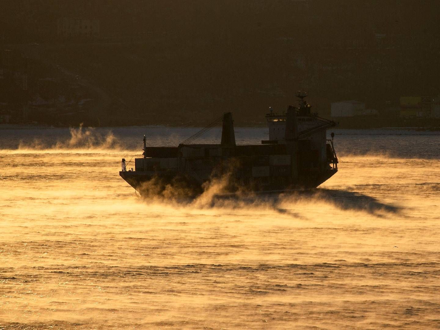 Et handelsskib i Vladivostok, der er et stort bunkerhub i det østlige Rusland. | Foto: Tatiana Meel/Reuters/Ritzau Scanpix