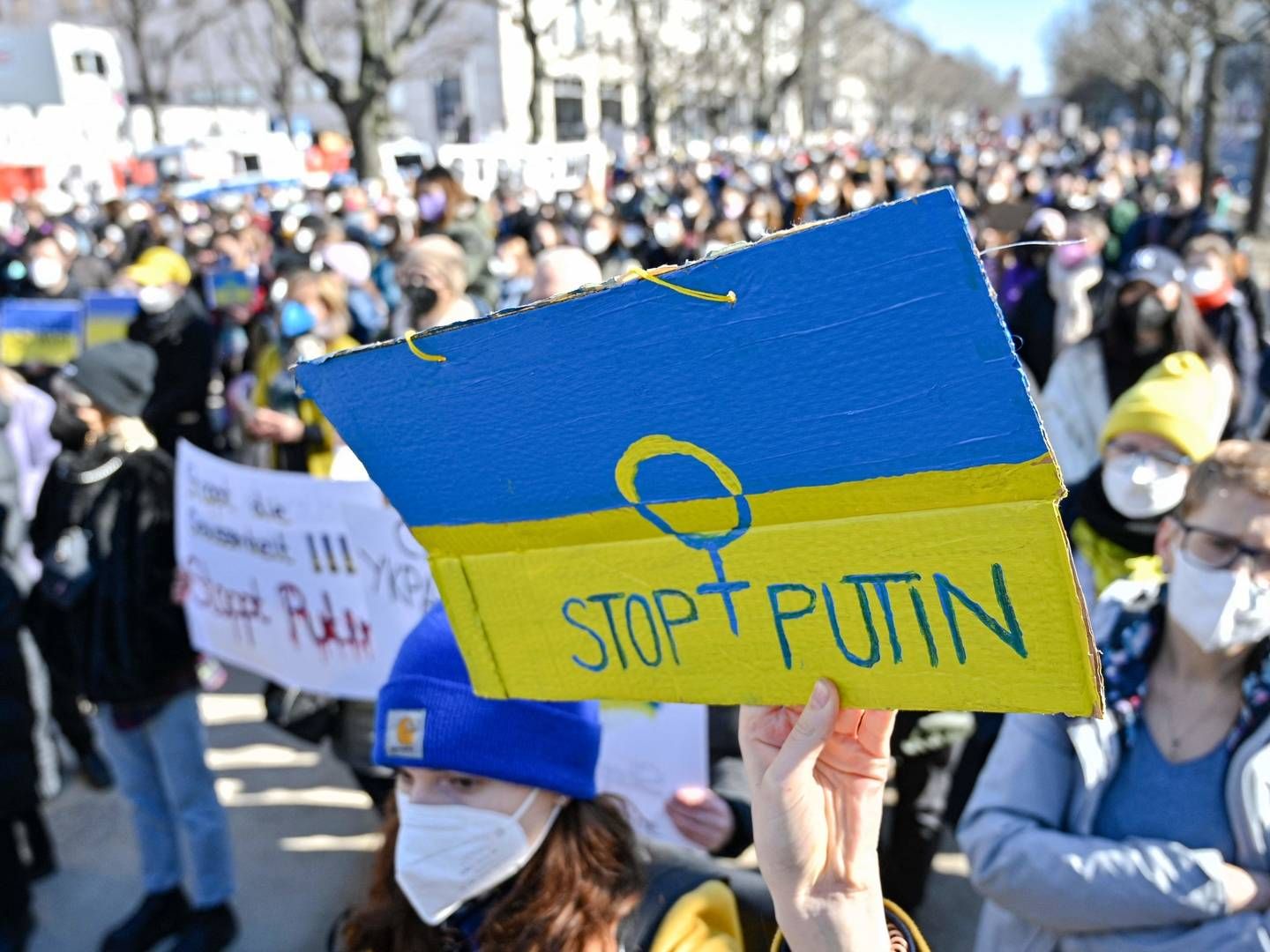 Der er stor folkelig modstand mod krigen i Ukraine i store del af verden. | Foto: JOHN MACDOUGALL/AFP / AFP