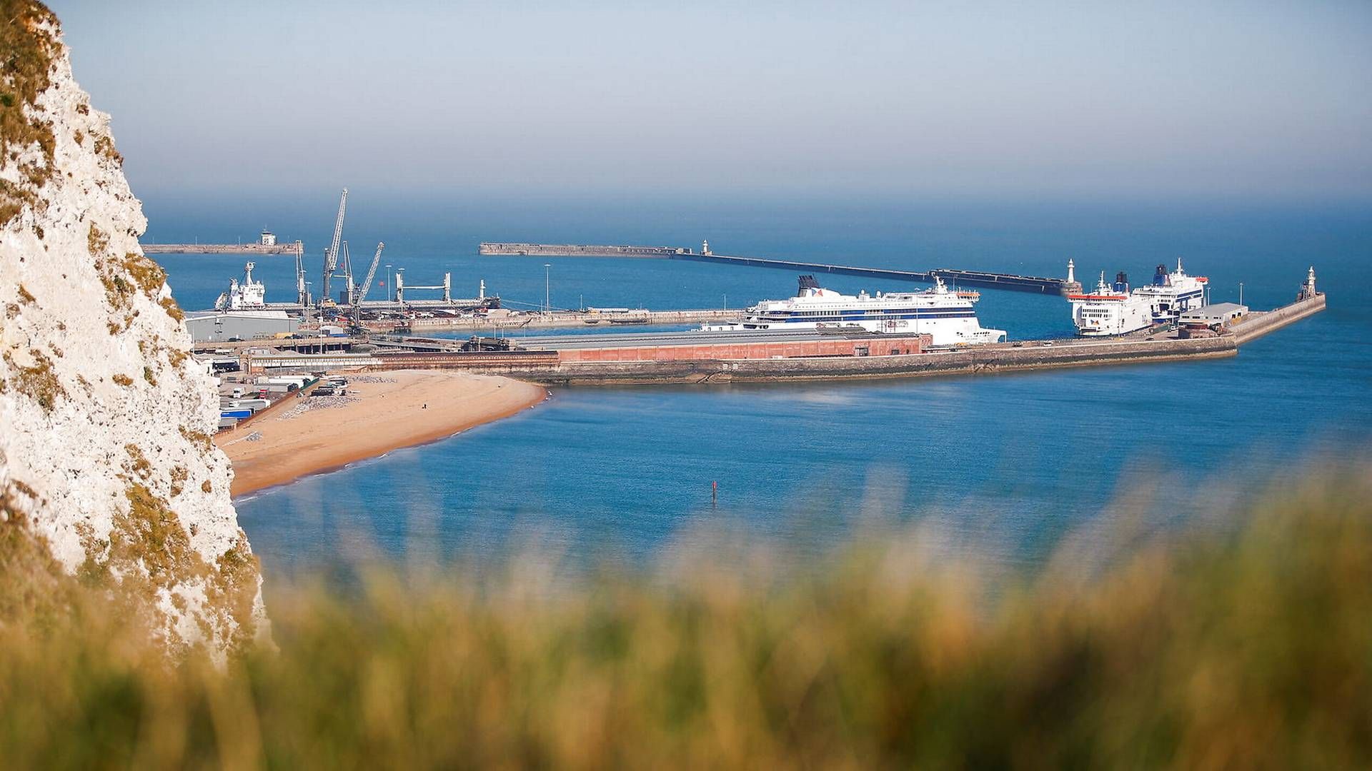 Havnen i Dover. | Foto: Peter Nicholls/Reuters/Ritzau Scanpix