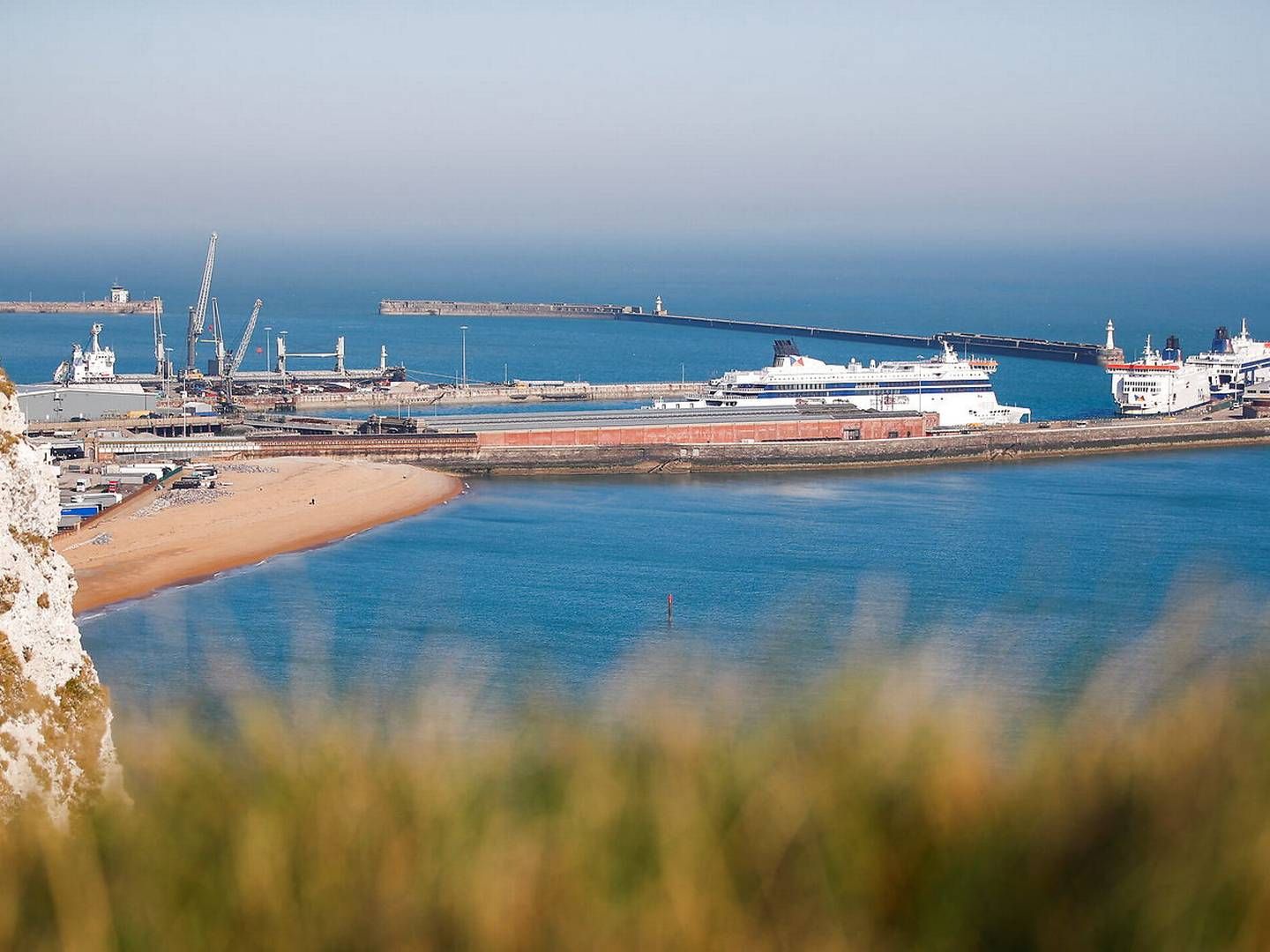 Havnen i Dover. | Foto: Peter Nicholls/Reuters/Ritzau Scanpix