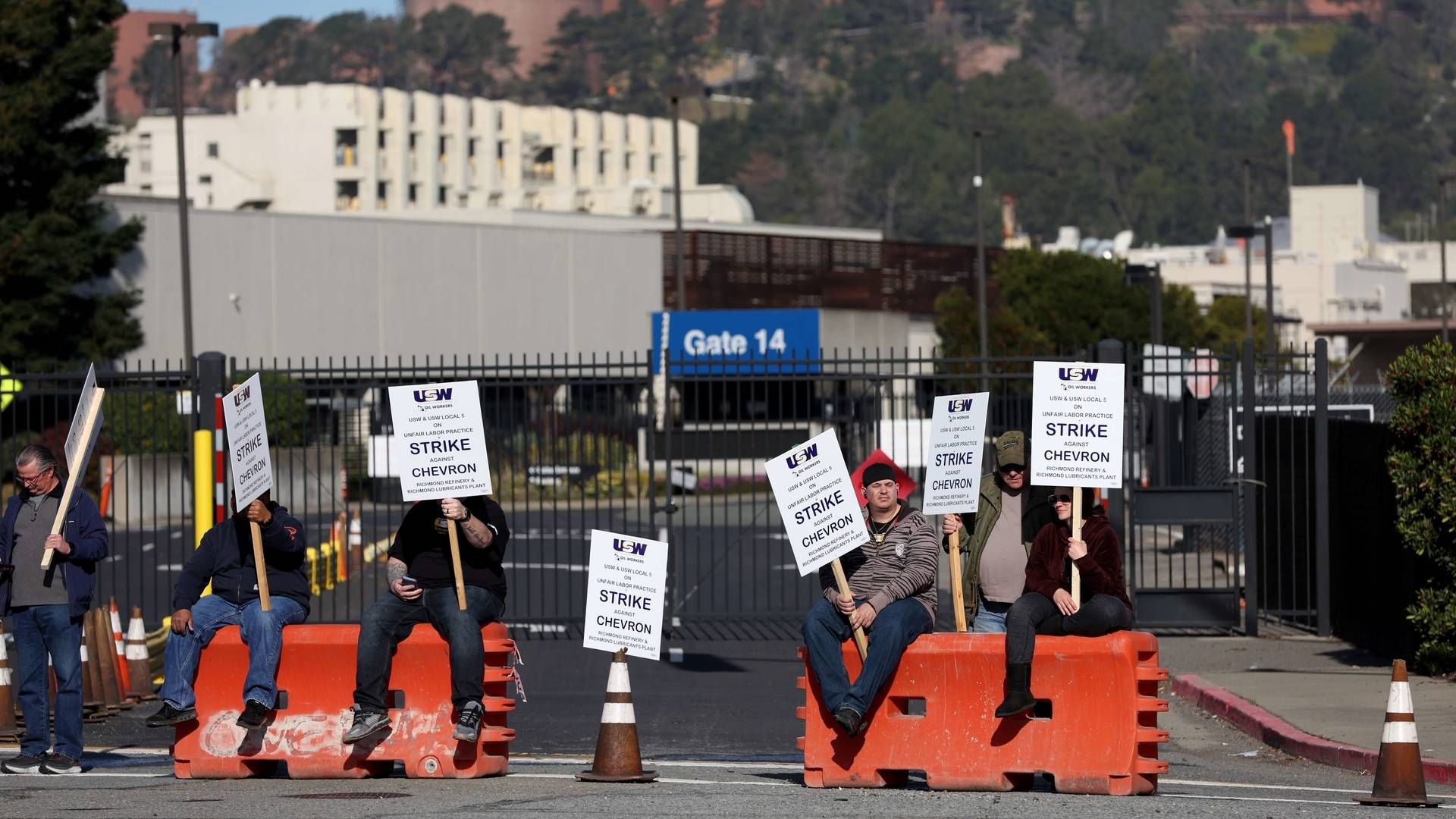 Foto: JUSTIN SULLIVAN/AFP / GETTY IMAGES NORTH AMERICA