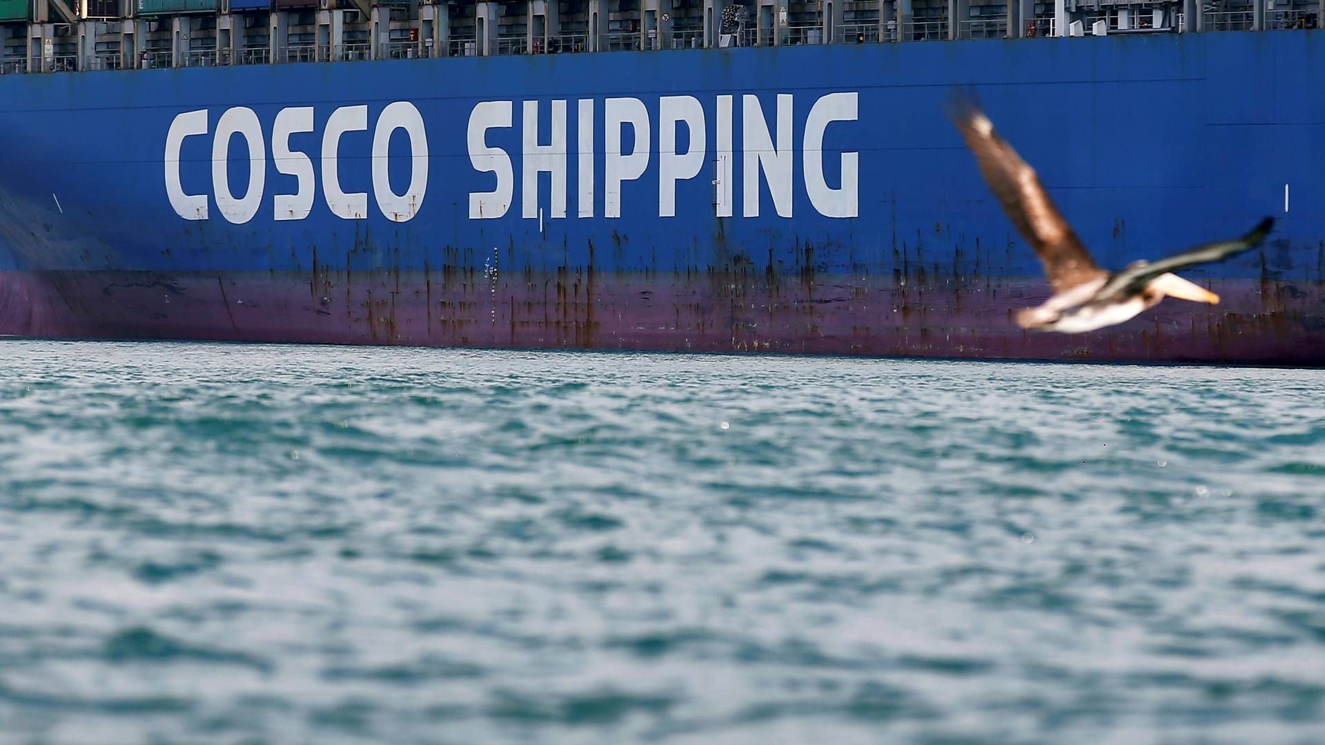 China-based Cosco has still not presented its final figures for 2021. | Photo: Rodrigo Garrido/Reuters/Ritzau Scanpix