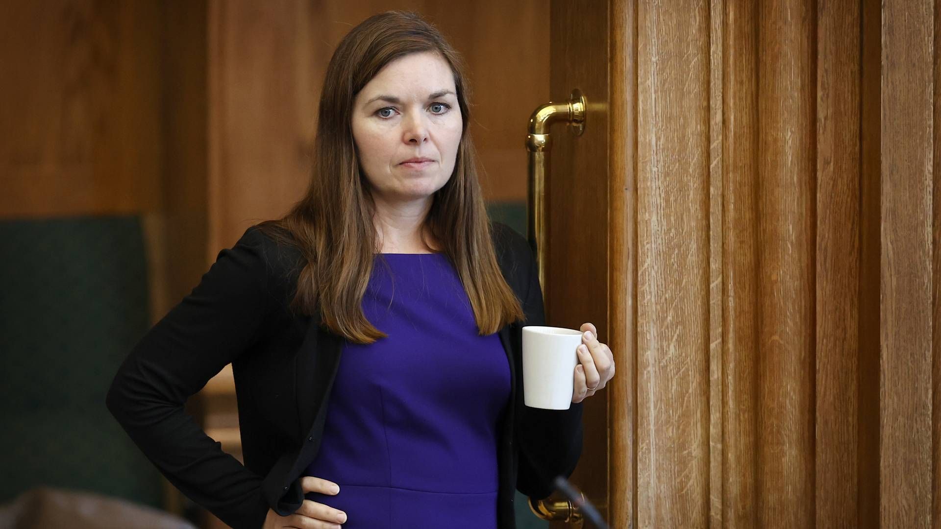 Louise Schack Elholm, skatteordfører for Venstre, fortæller, at en arbejdsgruppe på Christiansborg vil prøve at gøre det lettere at udstede medarbejderaktier. | Foto: Jens Dresling