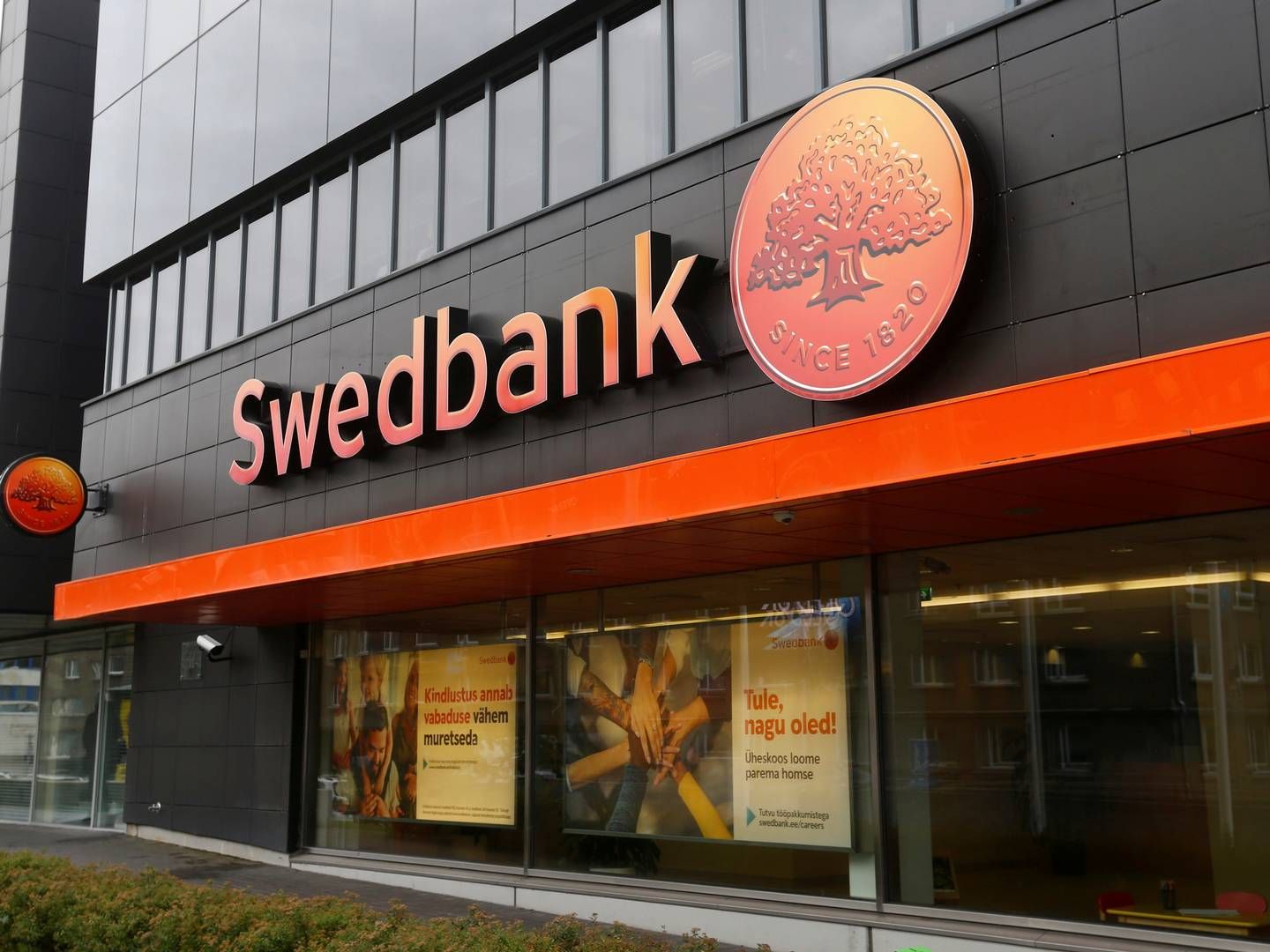 Den svenske storbank Swedbank er igen under mistanke for hvidvask. Ints Kalnins/Reuters/Ritzau Scanpix