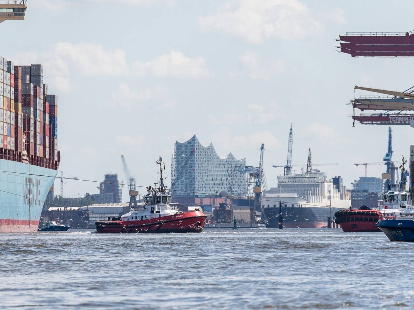 Fem havne har meldt sig klar til at blive en del af såkaldt grønne korridorer, der skal sørge for, at skibe kan få alternative brændstoffer. | Foto: Port of Hamburg