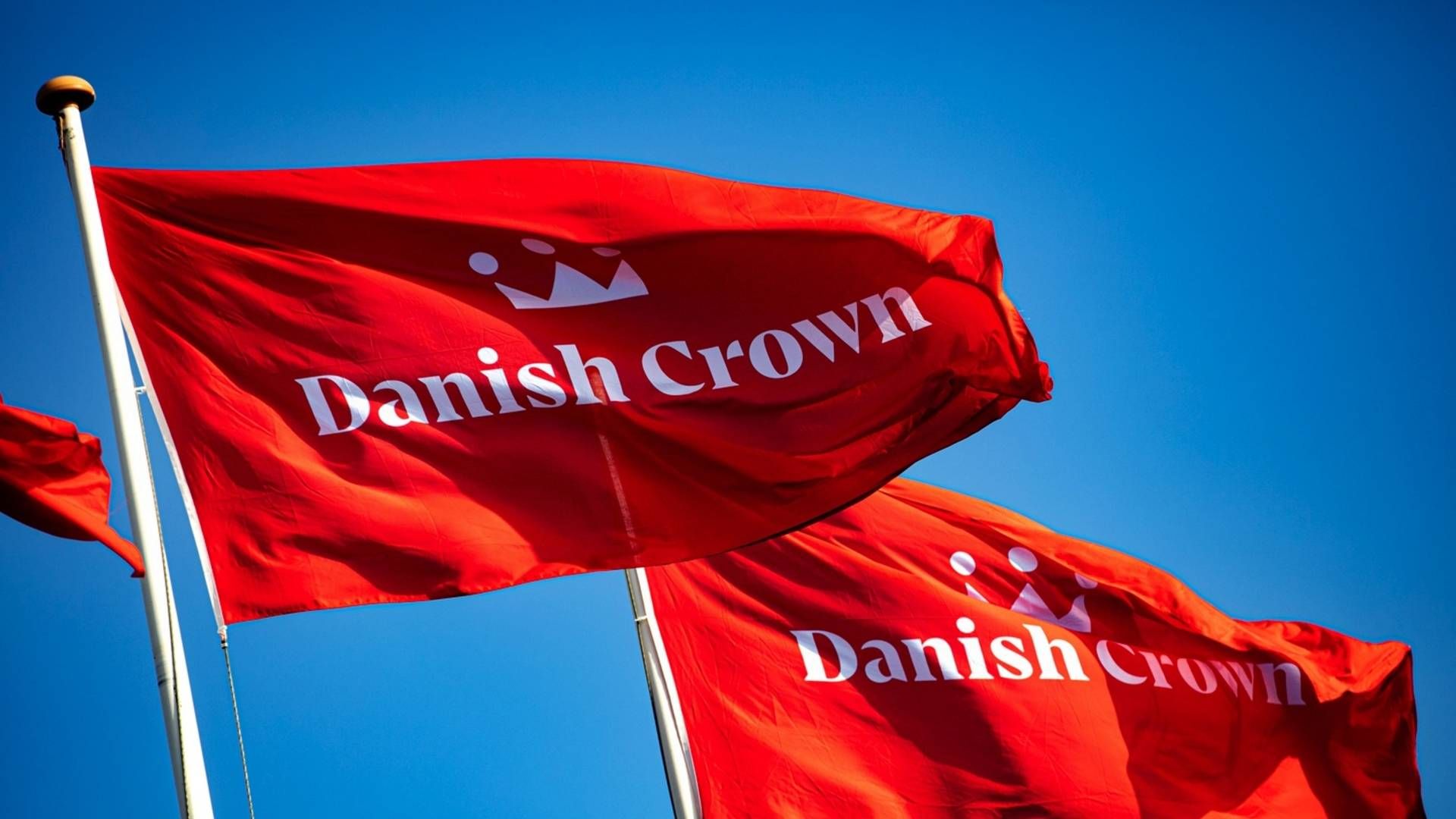 Danish Crown står klar til at bringe ukrainske flygtninge i job. | Foto: PR