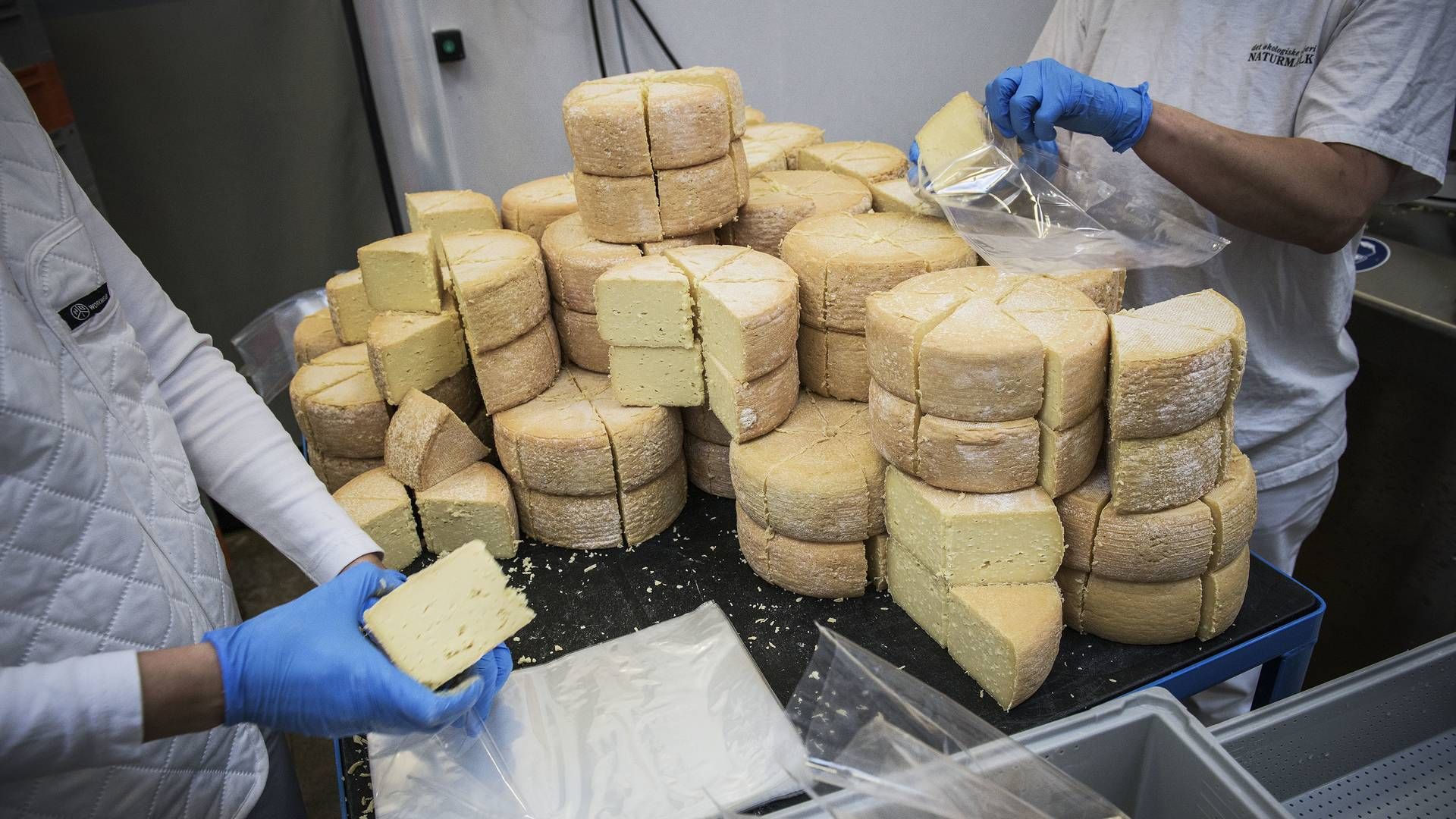 Chr. Hansen er blandt andet en stor underleverandør til osteproduktion. | Foto: Casper Dalhoff/ERH