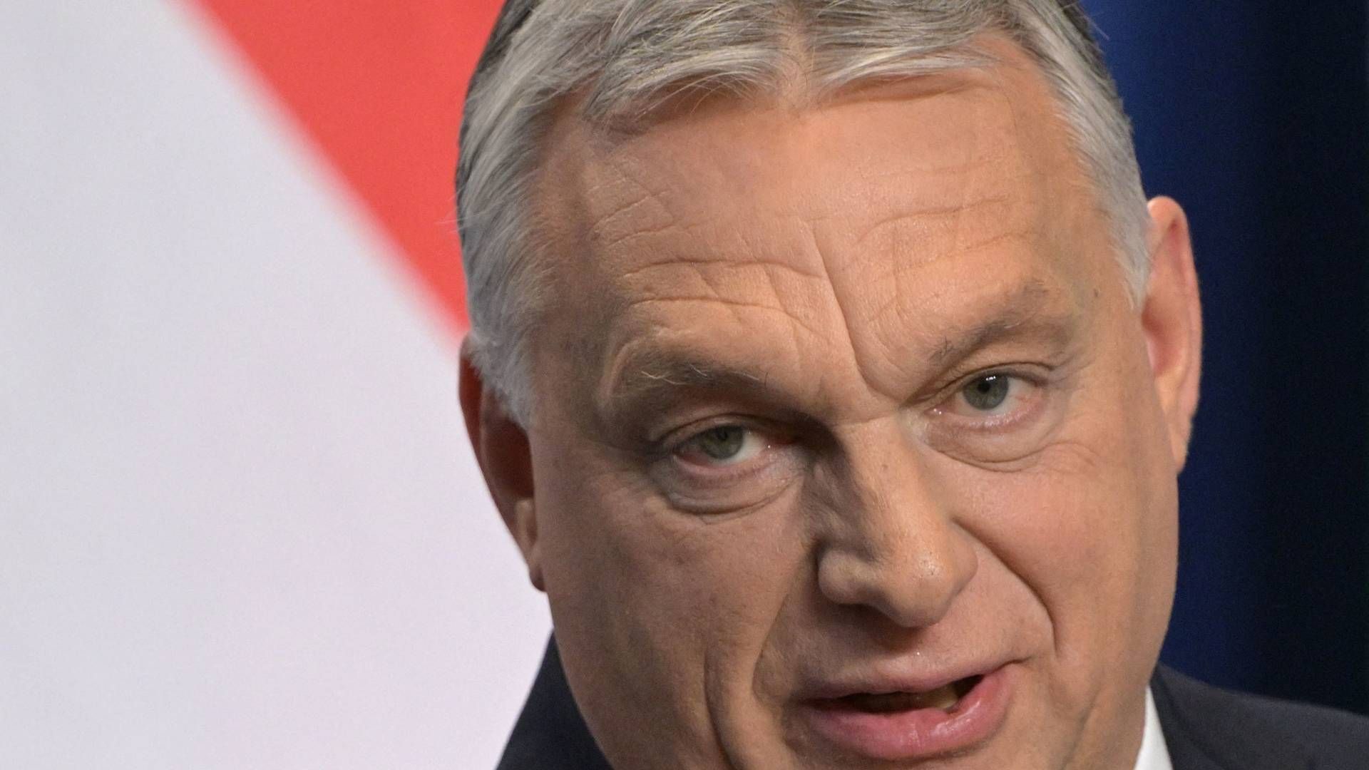 Ungarns premierminister vil ikke føje olie og gas til sanktionsliste mod Rusland. | Foto: ATTILA KISBENEDEK/AFP / AFP