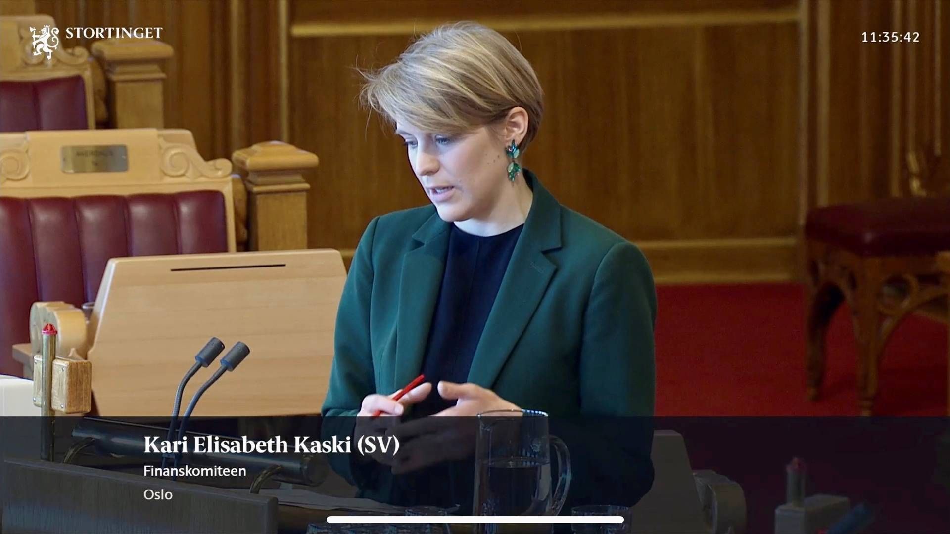 Stortingsrepresentant Kari Elisabeth Kaski (SV) . | Foto: Skjermdump Stortinget Nett TV