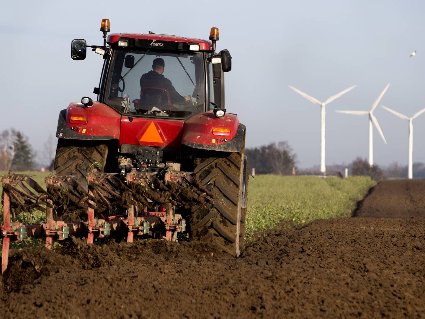 Efter nu snart ti års drift og samarbejde med flere forpagtere, lufter AP Pension nu at fortsætte det fælles samarbejde, frem for at landmændene køber investoren ud. | Foto: Finn Frandsen