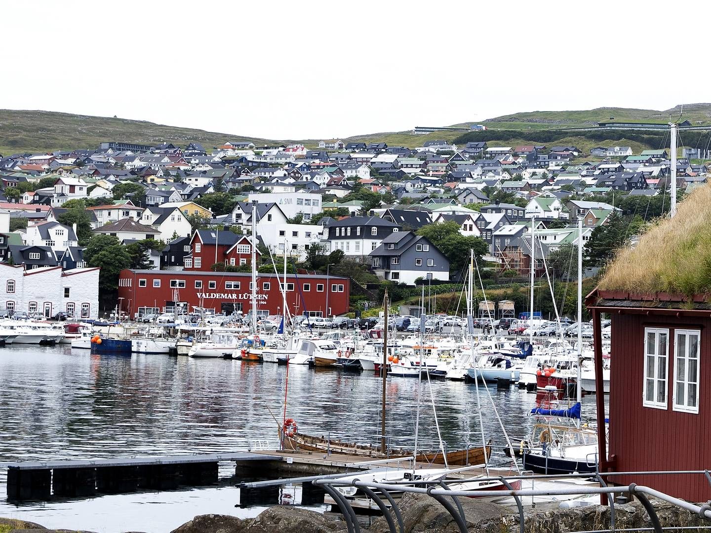 Færøerne er ét af de steder, hvor Arctic Import forventer at vinde en større andel af markedet frem mod 2024. | Foto: Finn Frandsen