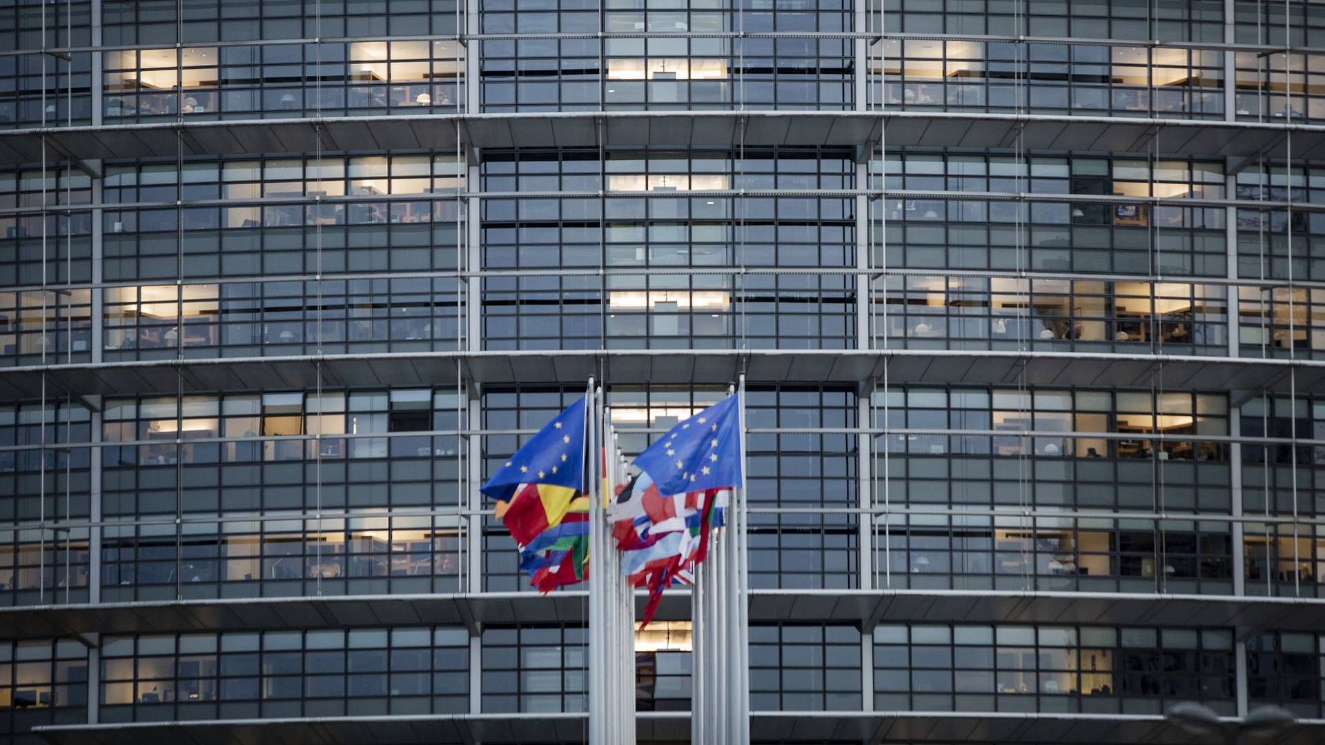 Europa-Parlamentet i Strasbourg. | Foto: Jens Hartmann Schmidt/Ritzau Scanpix