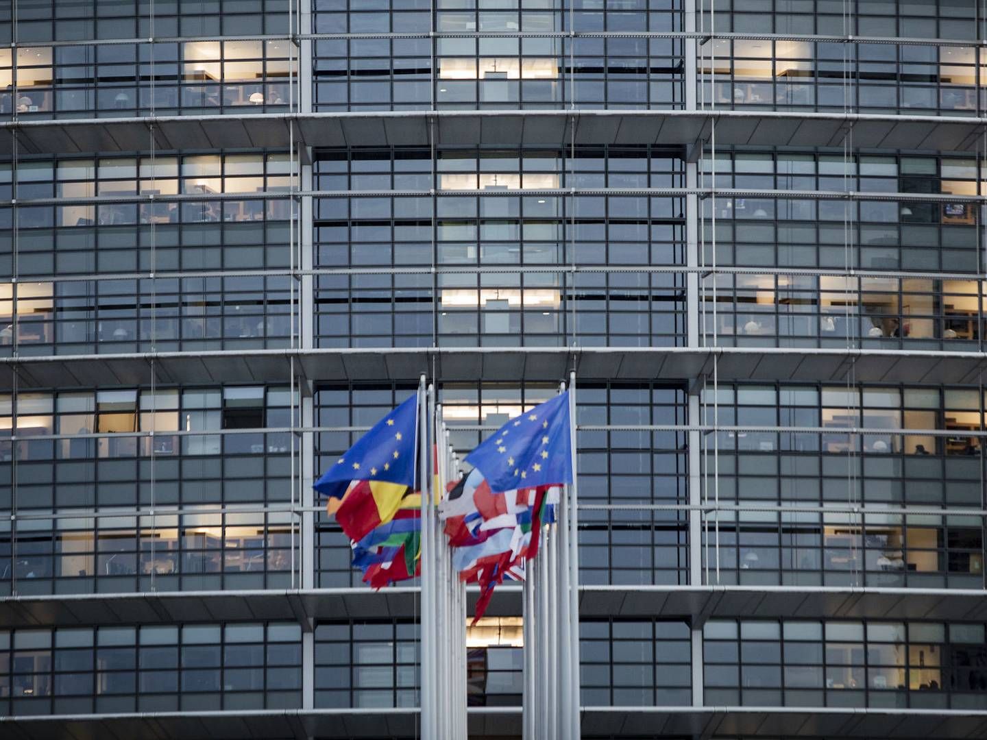 Europa-Parlamentet i Strasbourg. | Foto: Jens Hartmann Schmidt/Ritzau Scanpix