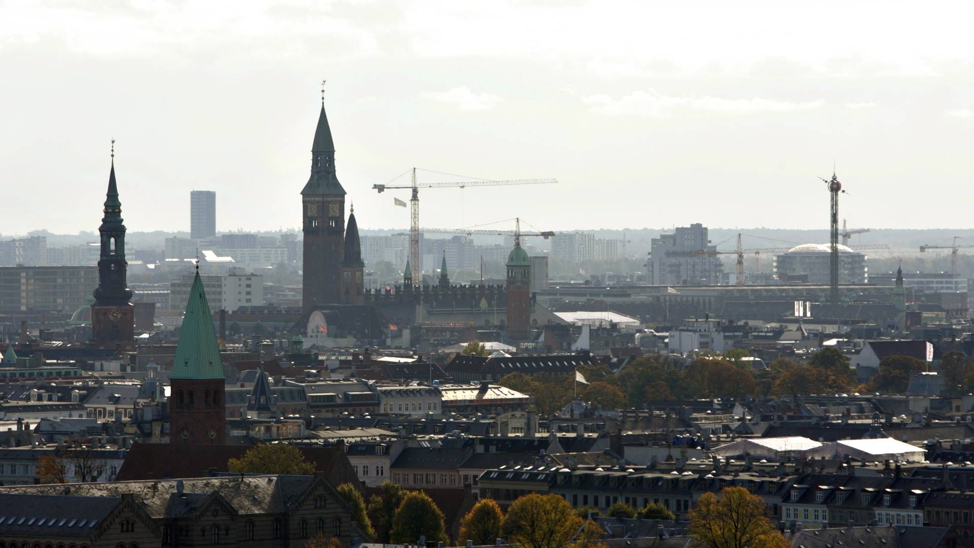 Scale Capital, der er stiftet i København, vil hjælpe nordiske virksomheder med at accelerere væksten i særligt USA, hvor venturefonden er til stede flere steder | Foto: Thomas Borberg / Ritzau Scanpix