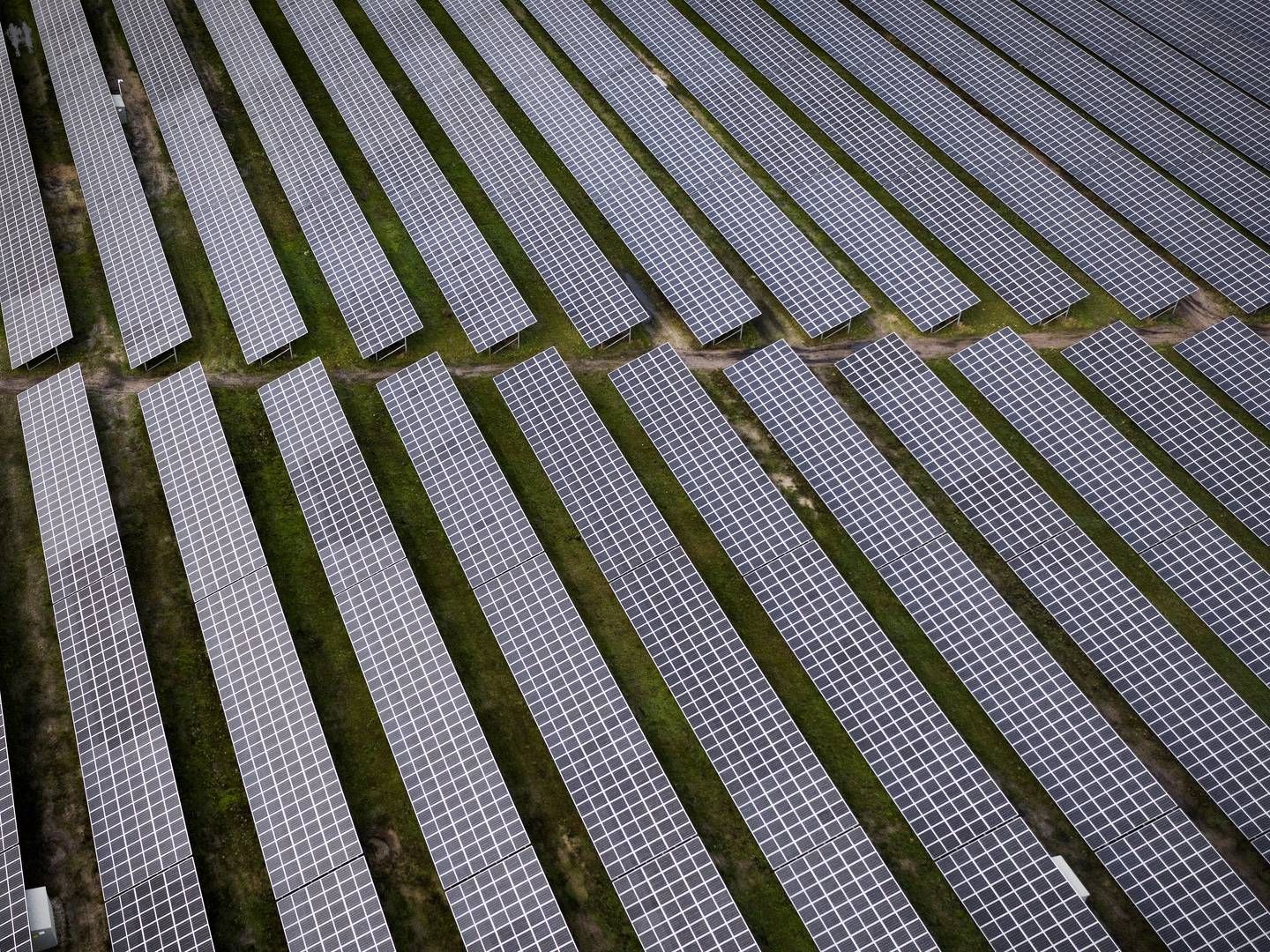 Især de store mængder ny solenergi presser netkapaciteten rundt omkring i landet. Her ses Bestsellers store park ved Holstebro. | Foto: Casper Dalhoff/IND