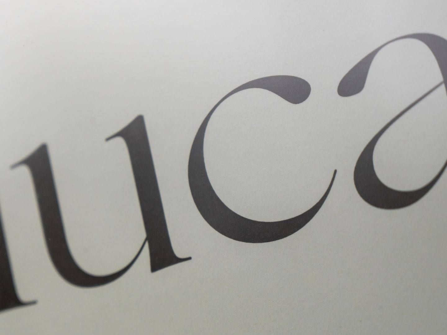 Das Luca-Logo | Foto: picture alliance/dpa | Christophe Gateau