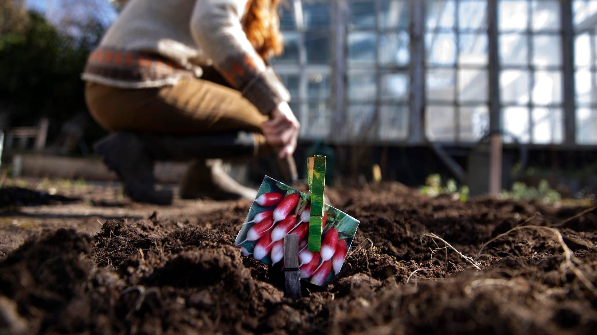 Danskerne klikkede sig til en mia. kr. mere inden for kategorierne blomsterfrø, arbejdsredskaber og byggematerialer i 2021. | Foto: Finn Frandsen