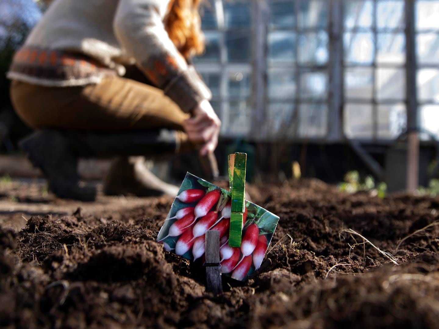 Danskerne klikkede sig til en mia. kr. mere inden for kategorierne blomsterfrø, arbejdsredskaber og byggematerialer i 2021. | Foto: Finn Frandsen