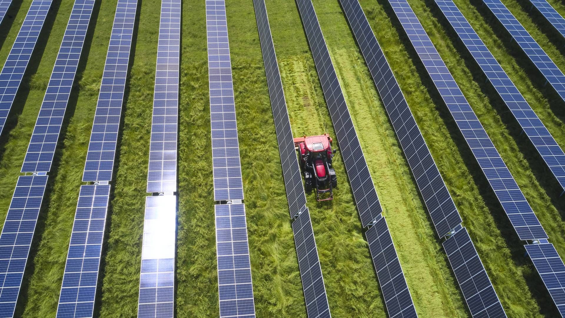 Ifølge Energistyrelsens egne fremskrivninger, lavet på baggrund af regeringens ambitioner om at tidoble solcelleproduktionen, vil 85 pct. af fremtidige solceller blive opført på marker og 15 pct. på tage. | Foto: European Energy