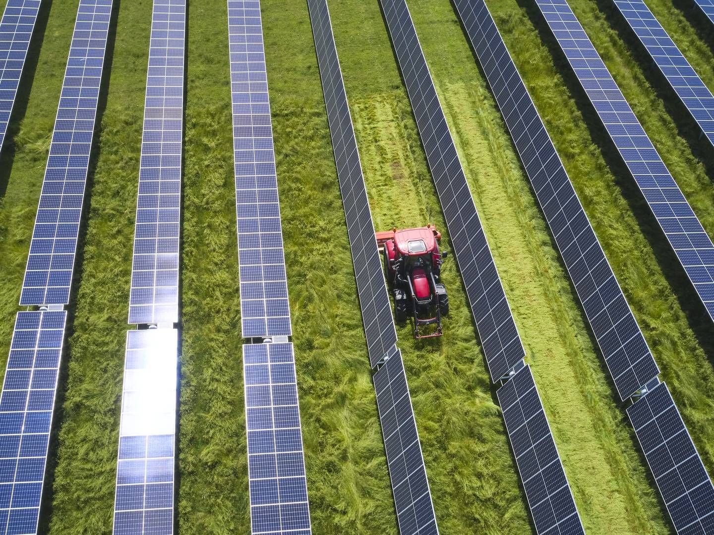 Politikerne i Randers Kommune skal inden længe vedtage et administrationsgrundlag for solcelleanlæg til fremtiden. | Foto: European Energy