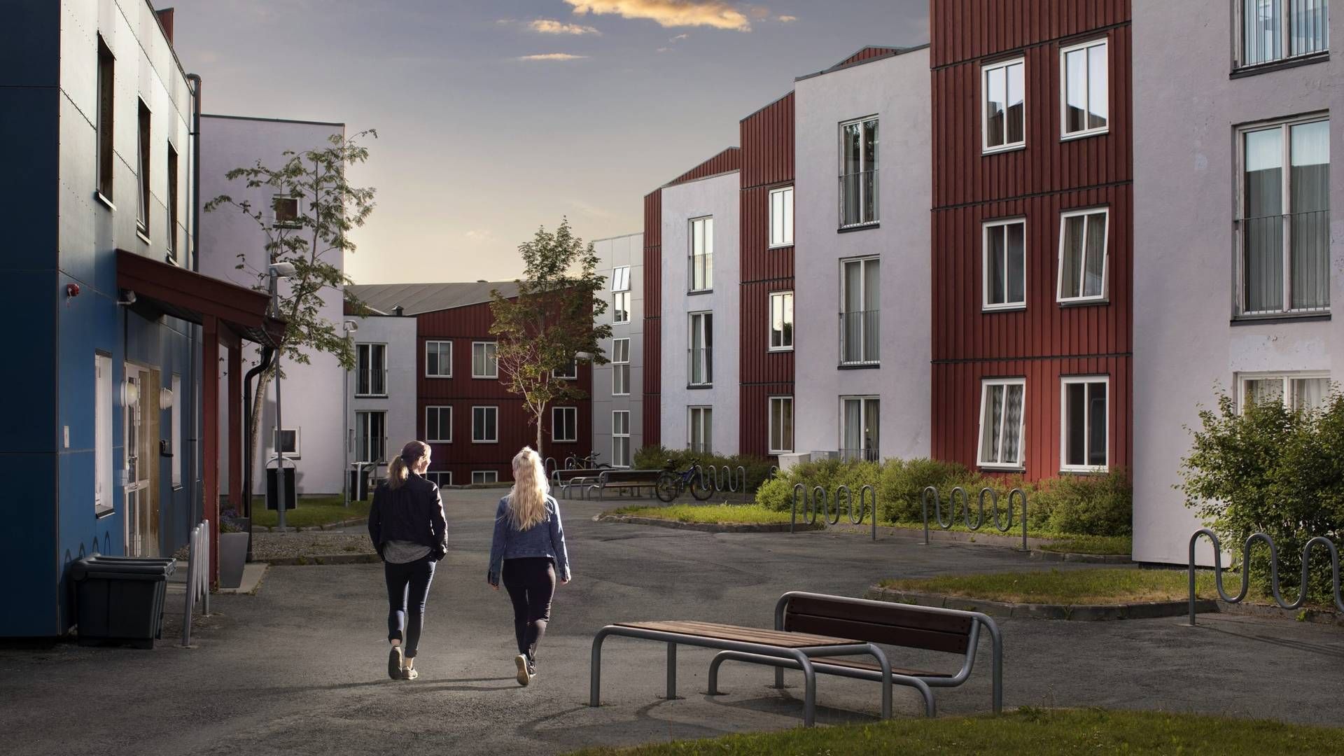 ØKER PORTEFØLJEN: Investeringen i Voll studentby er den andre i studentboligsegmentet for Unions value add-fond og den tredje for Traaseth Property. | Foto: Pangea Property Partners