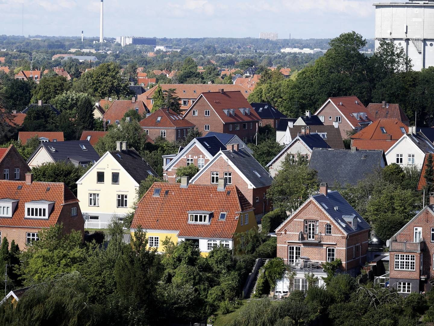 Dansk Boligforsikring havde fremgang over hele linjen i 2021. | Foto: Jens Dresling