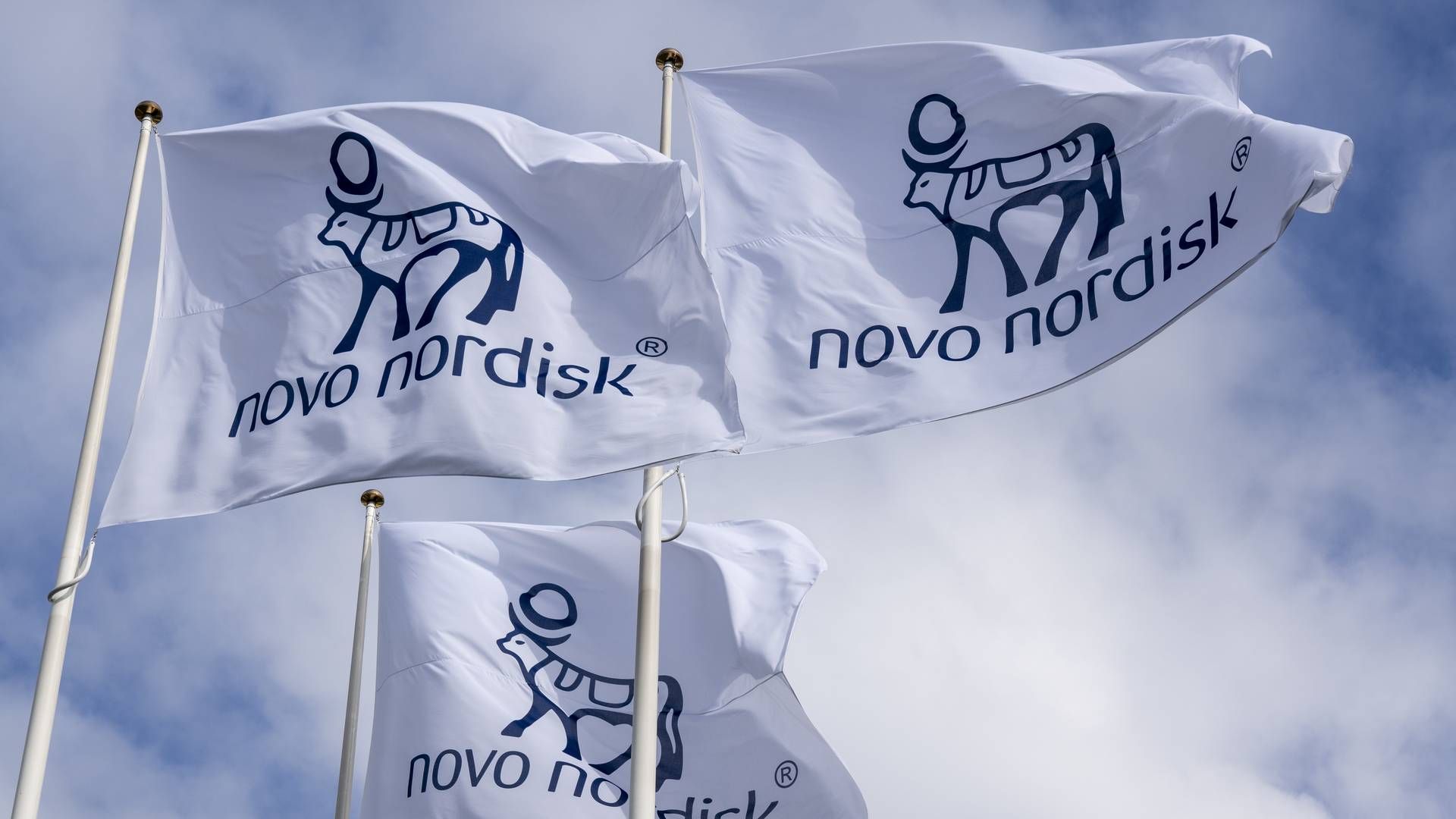 Photo: Novo Nordisk / PR