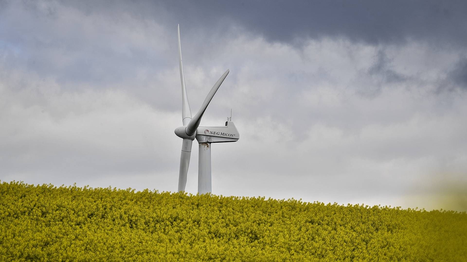 Danskerne vil gerne have flere vindmøller, viser ny undersøgelse. | Foto: Ernst van Norde
